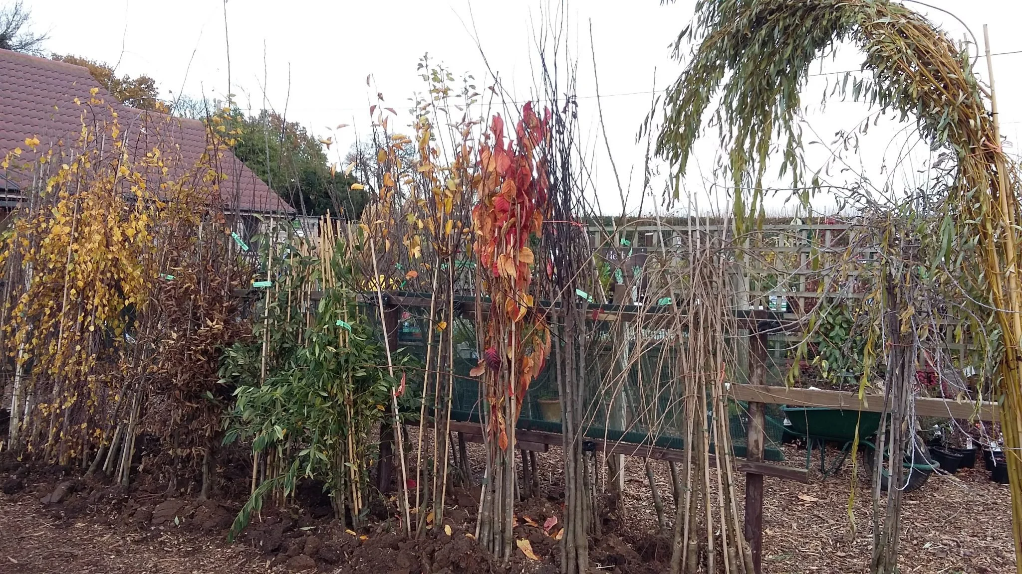 Store 2 — Beach Road Garden Centre Waihi