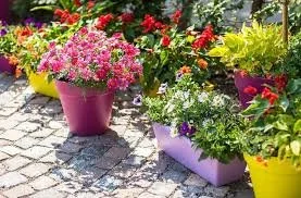 flowers.jpg