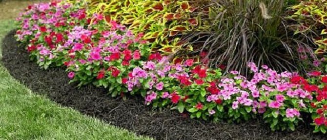 mulch1.jpg