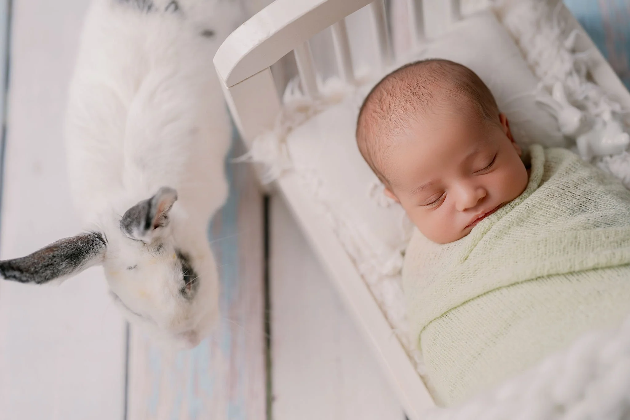 Daniel_Newborn_-74.JPG