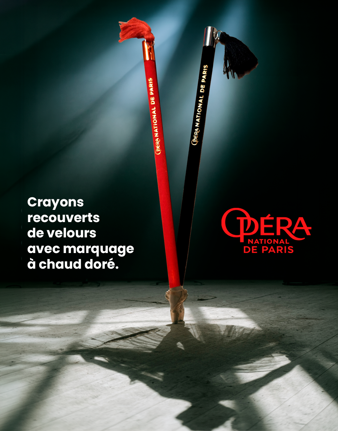 Un petit bout de nous au cœur de Paris