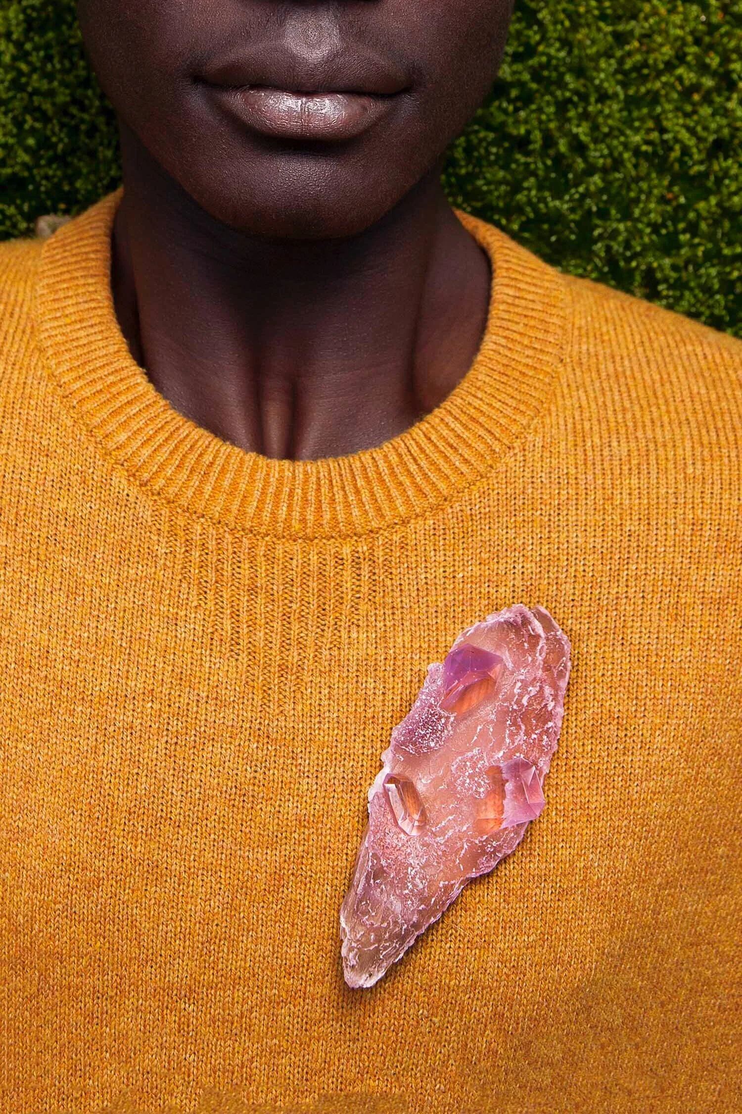 The Forest of Dreams