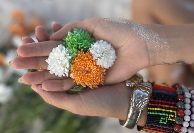 Two hands holding colorful chrysanthemums in white, orange, and green in a natural outdoor setting.