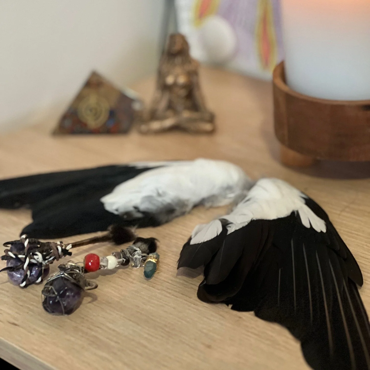 Whispers Between Wings