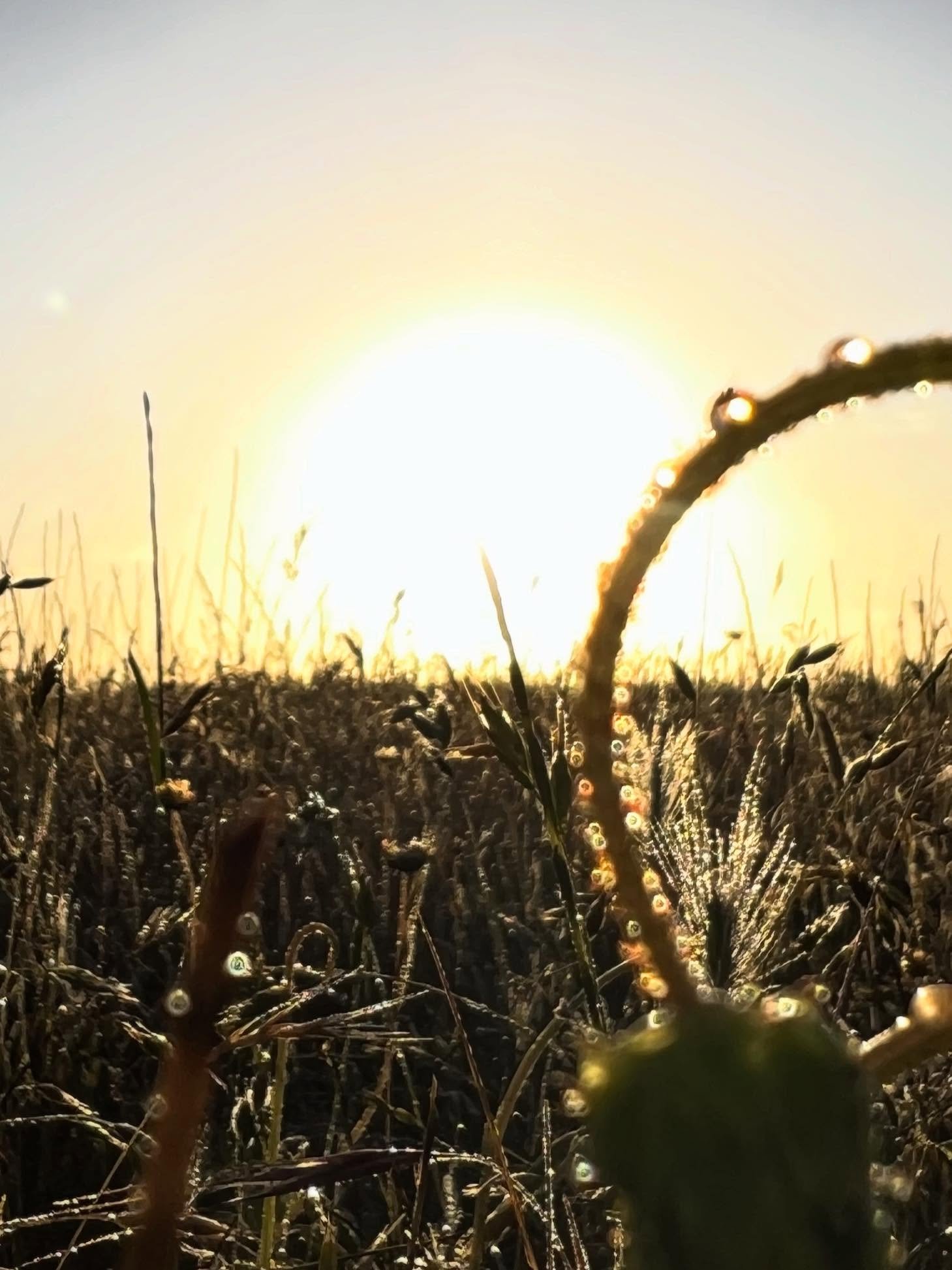 With the cooler weather slowly rolling in, I&rsquo;ve noticed something this year.

I used to go kicking and screaming into winter. I&rsquo;d complain about the cold, hate being outside, and count down the days until spring returned and I could feel 