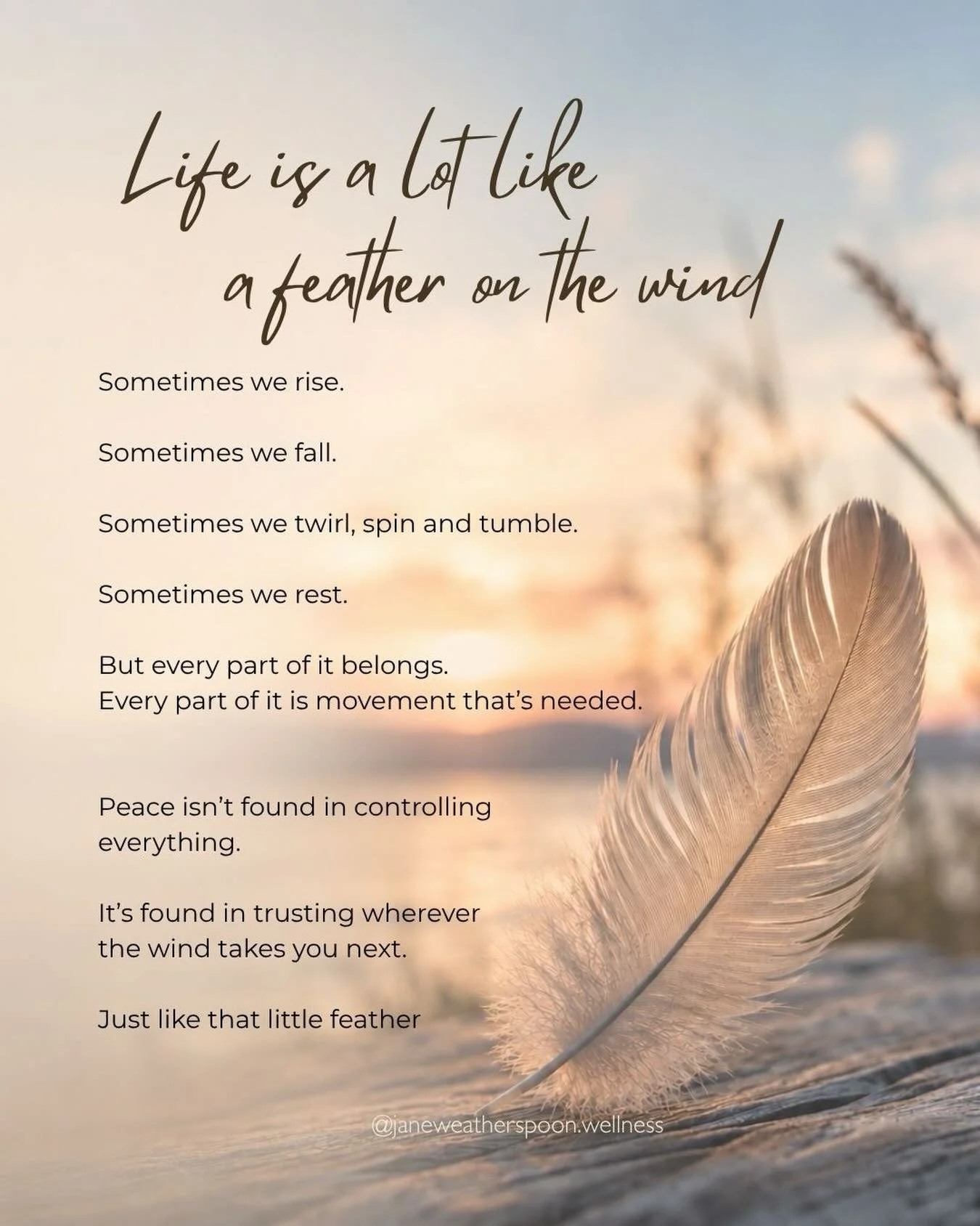 This morning has had me pondering about a feather floating in the wind and thinking how much it reminds me of life.

You know when you see a feather catch the breeze and rise so high, effortlessly drifting along and then suddenly it dips and drops, f