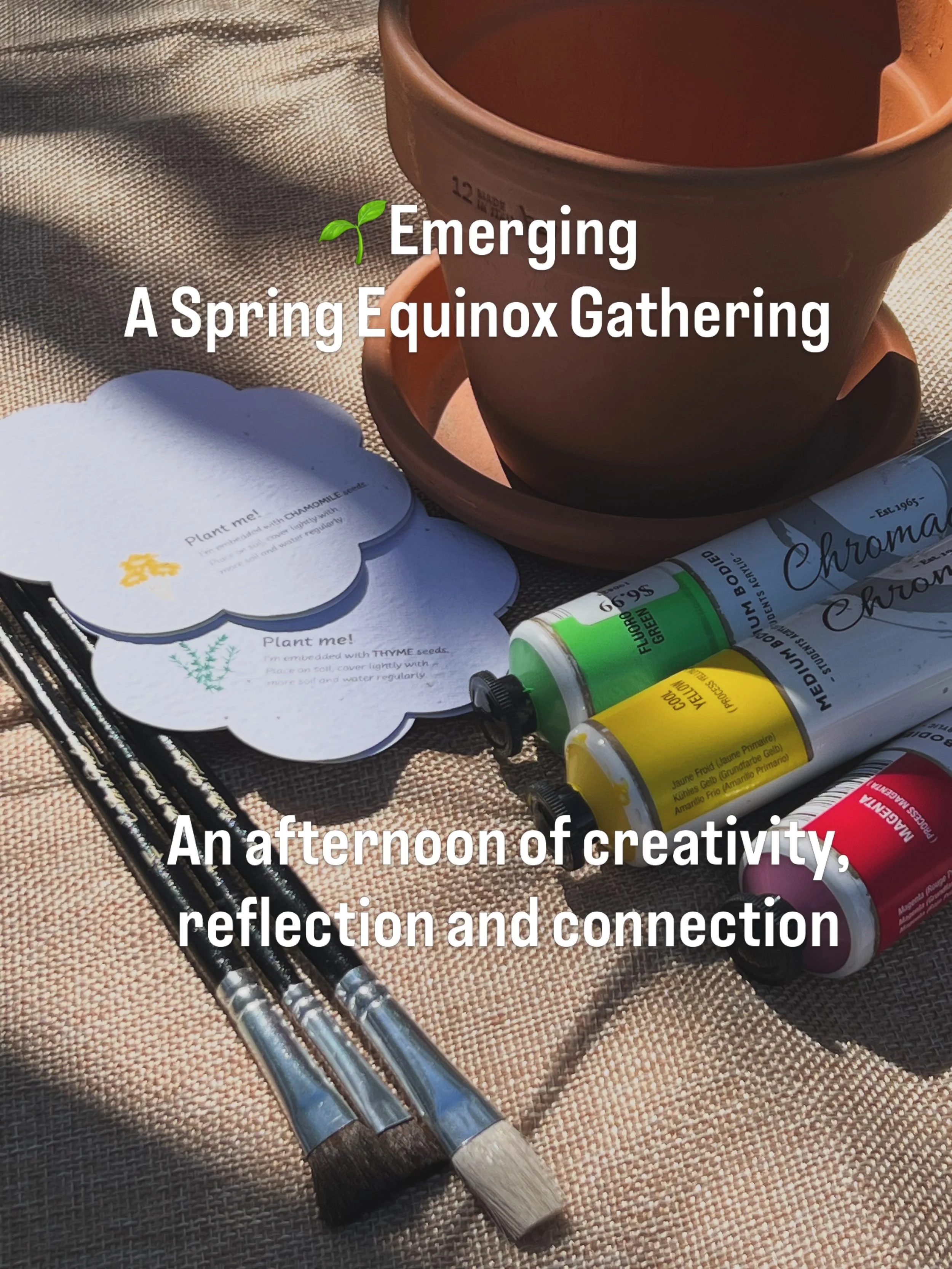 The environment we grow in matters.

Just like a seed, we need care, nourishment and the right conditions to grow and flourish.

Emerging is an invitation to pause as we reach the Spring Equinox and consider what you would like to nurture in the seas