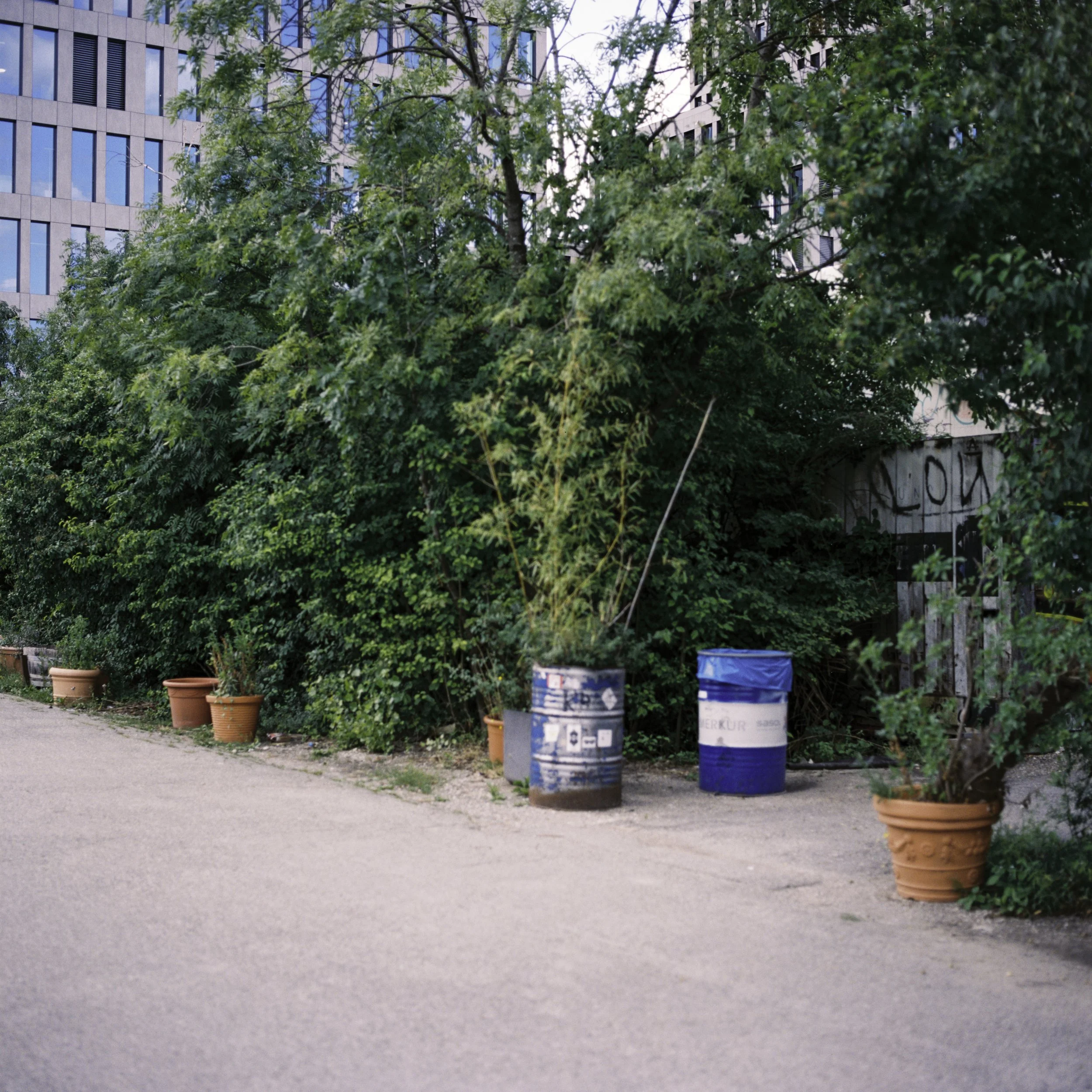 BSTGMUC_240726-4.jpg
