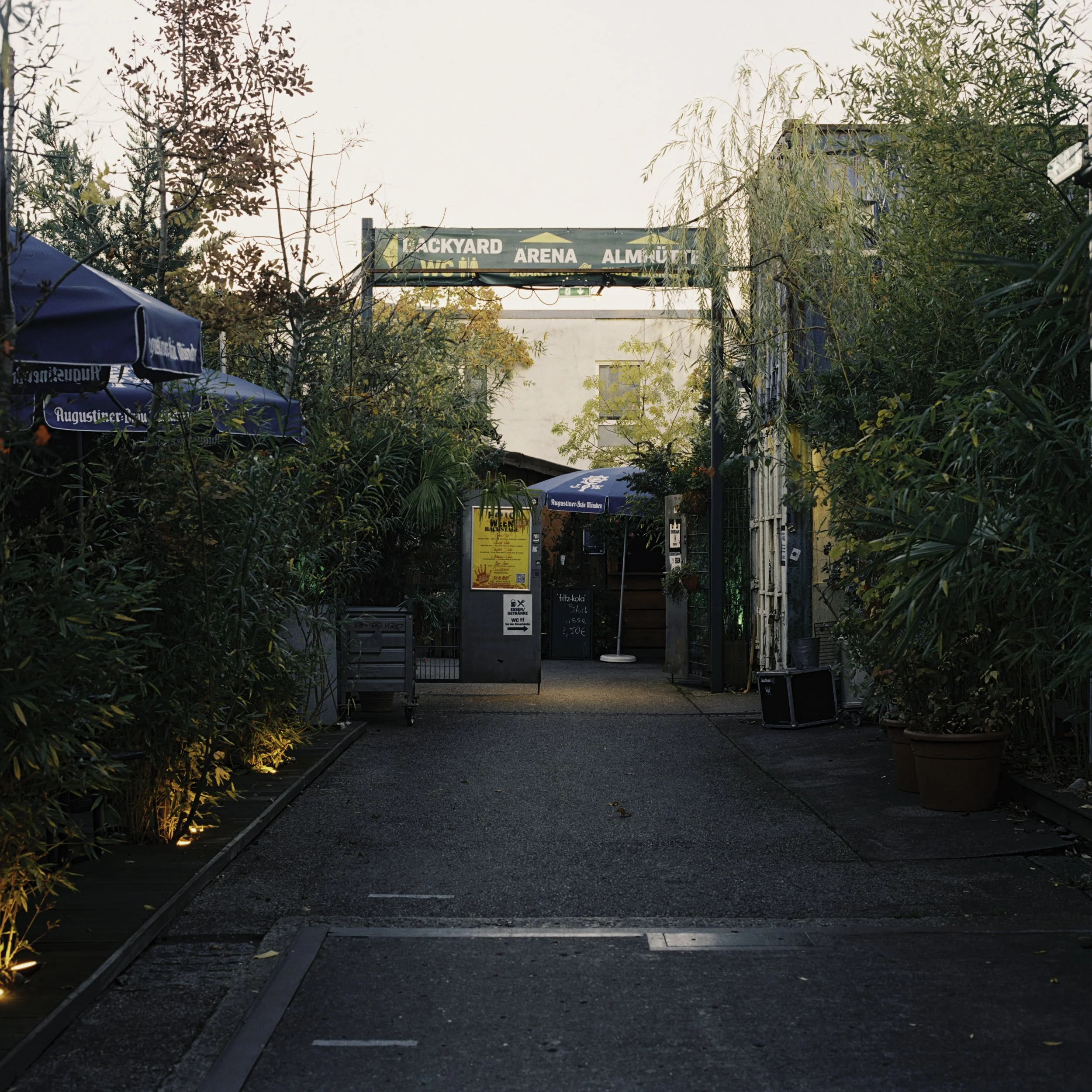 BSTGMUC__Pflanzen_240726-13.jpg