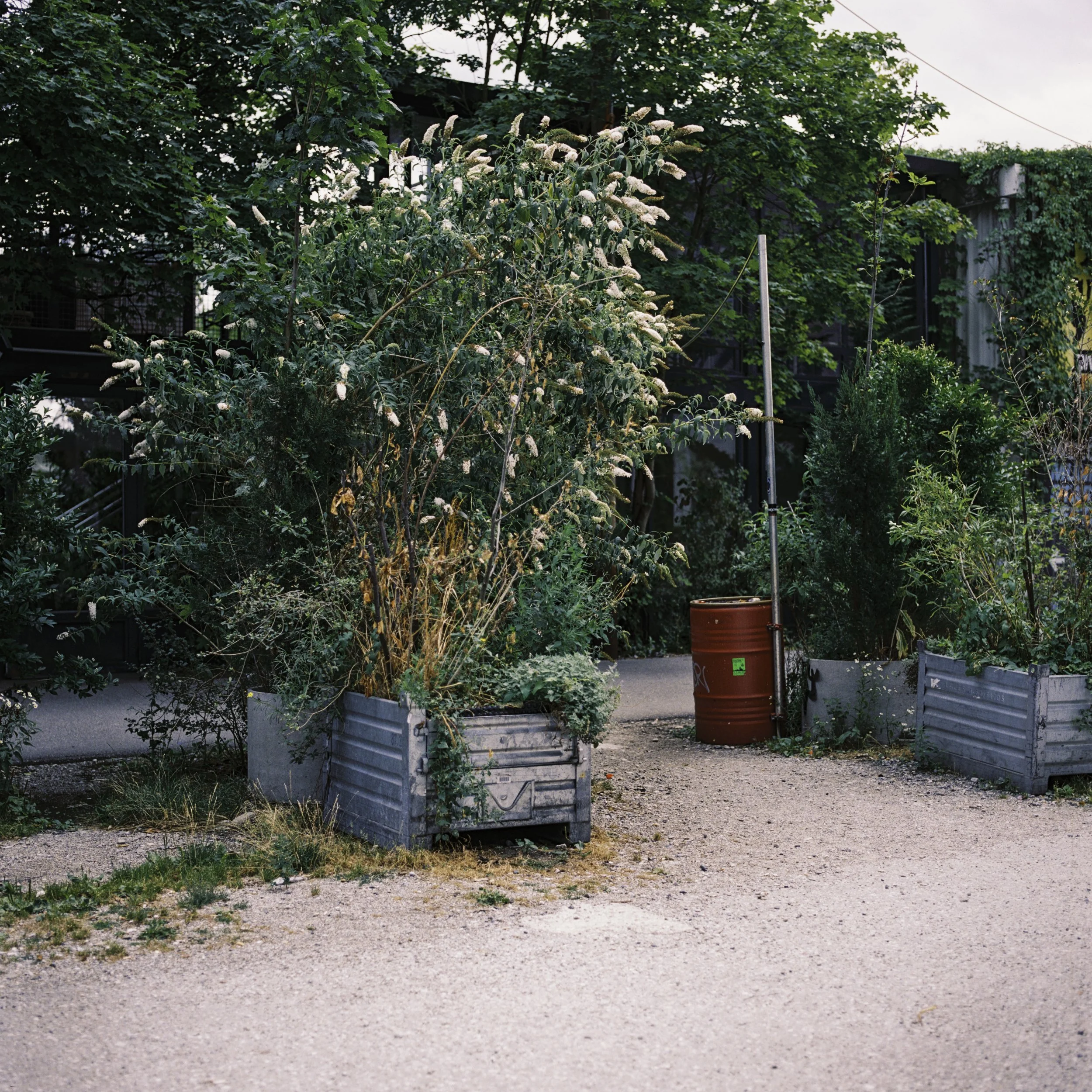 BSTGMUC_240726-21.jpg