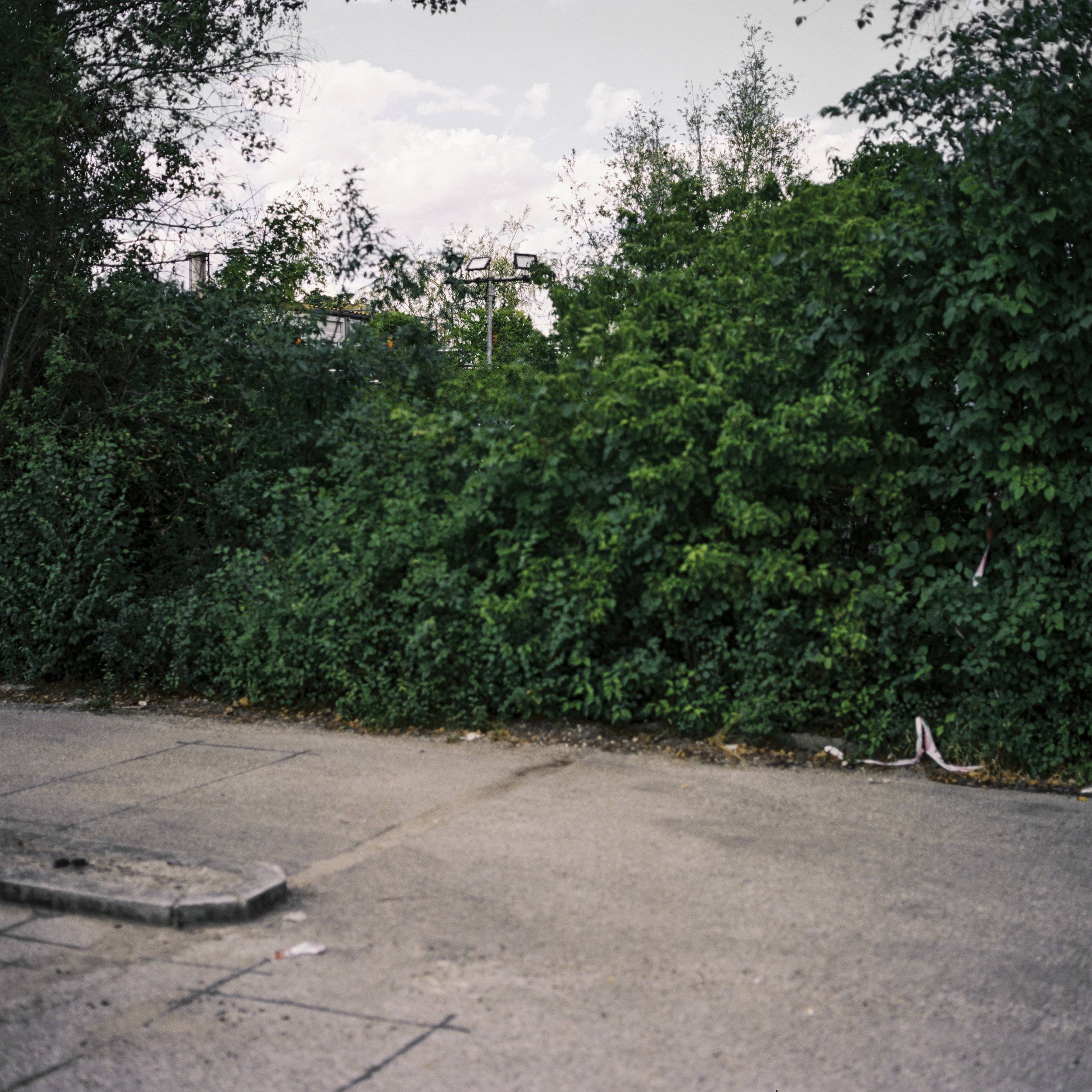 BSTGMUC_240726-2.jpg