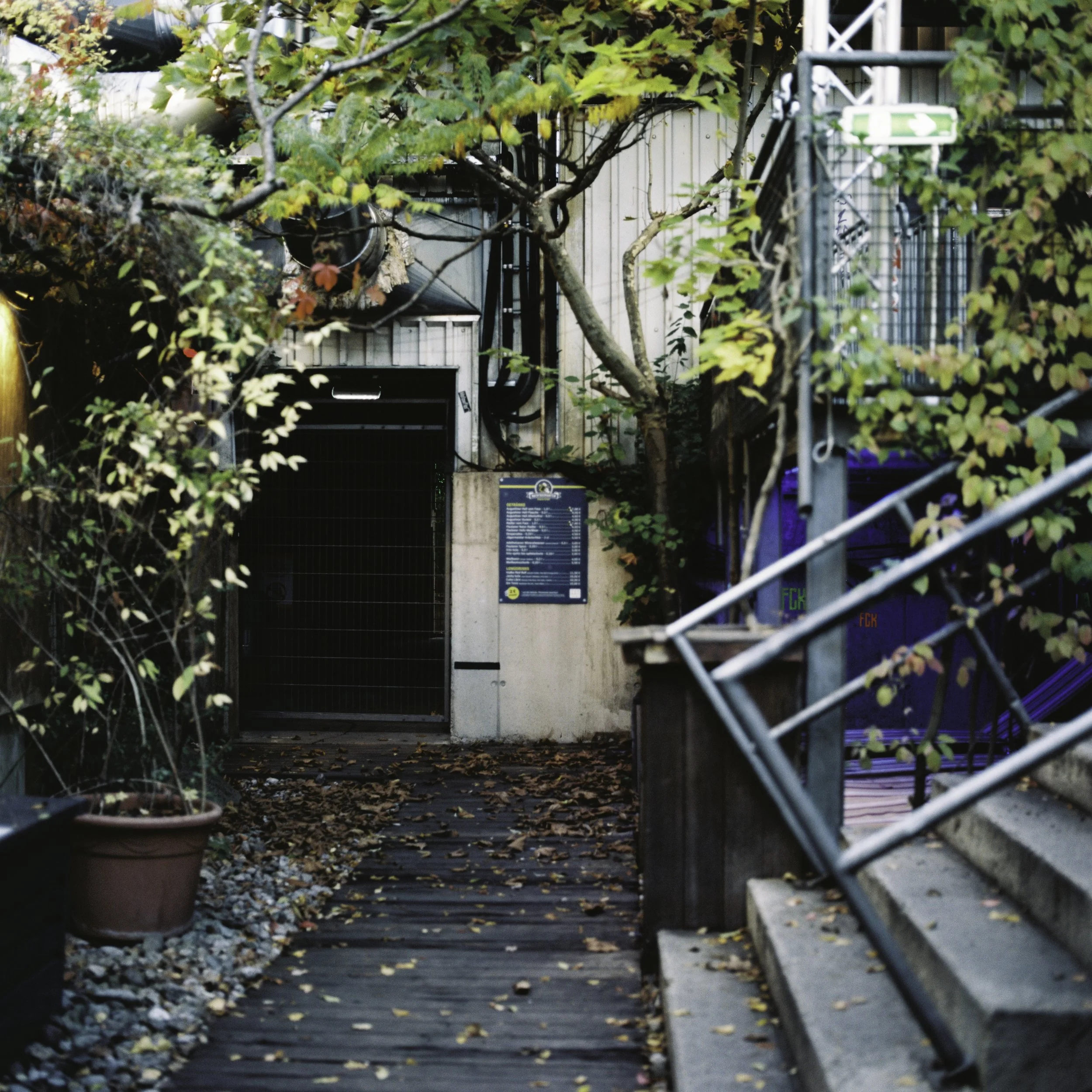 BSTGMUC__Pflanzen_240726-21.jpg