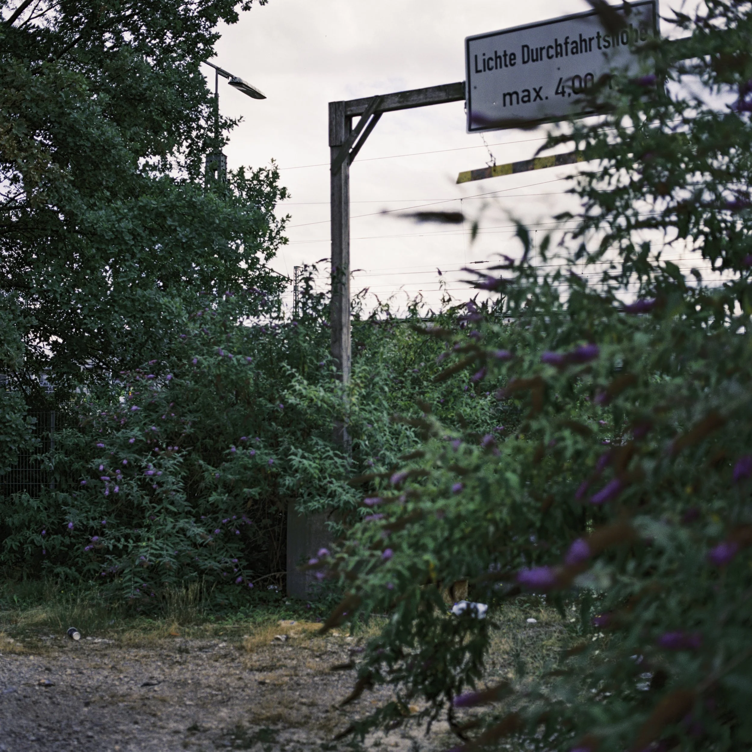 BSTGMUC_240726-8.jpg