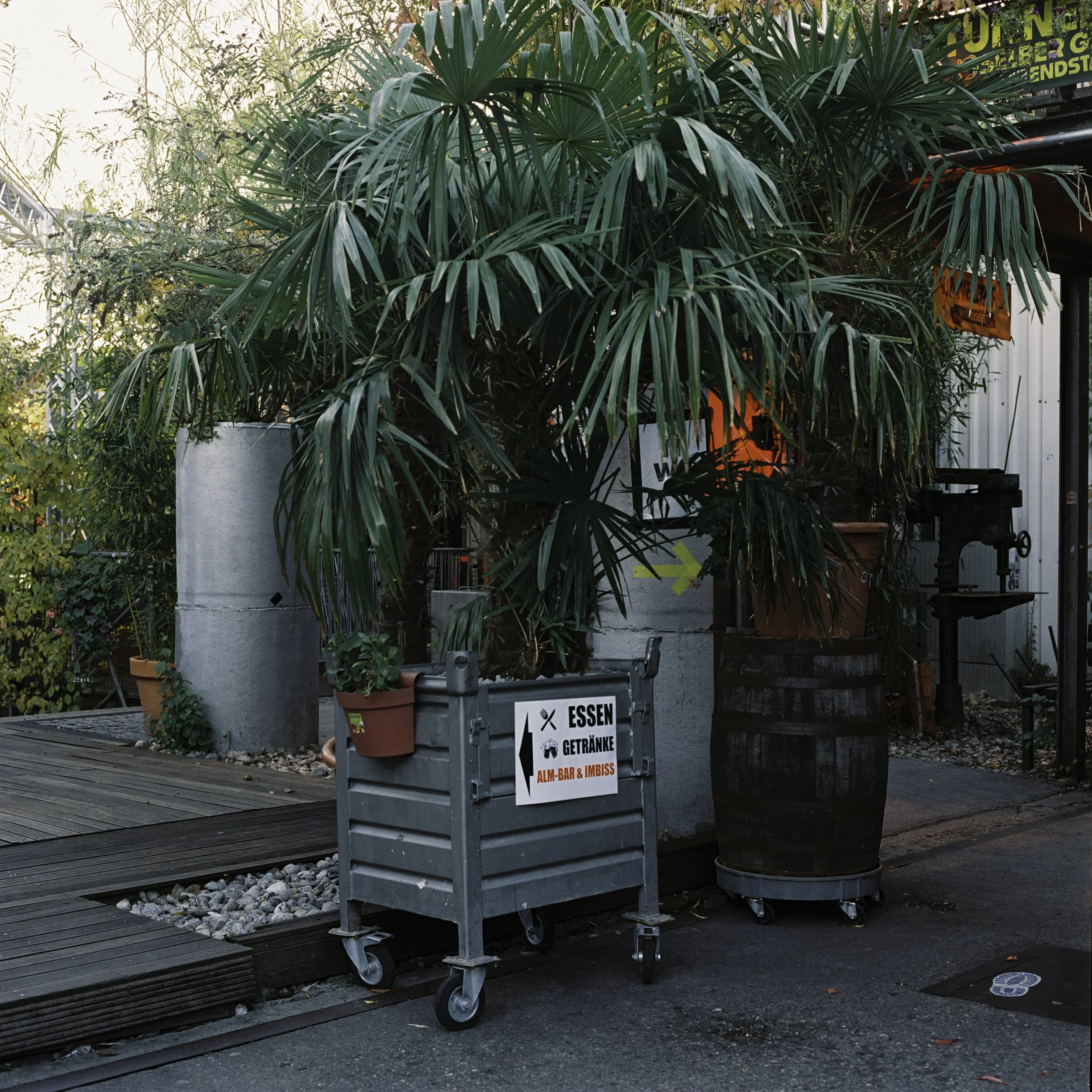 BSTGMUC__Pflanzen_240726-14.jpg