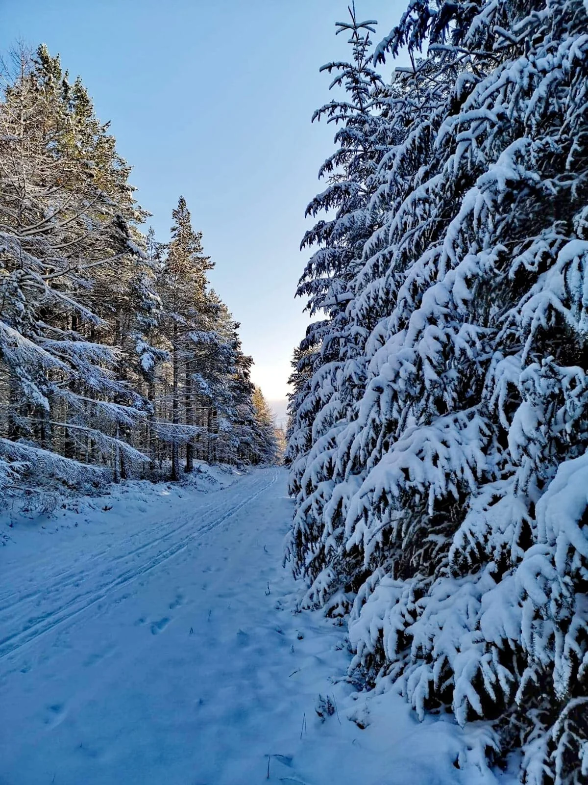 WhatsApp Image 2020-03-24 at 22.28.40 (4).jpeg