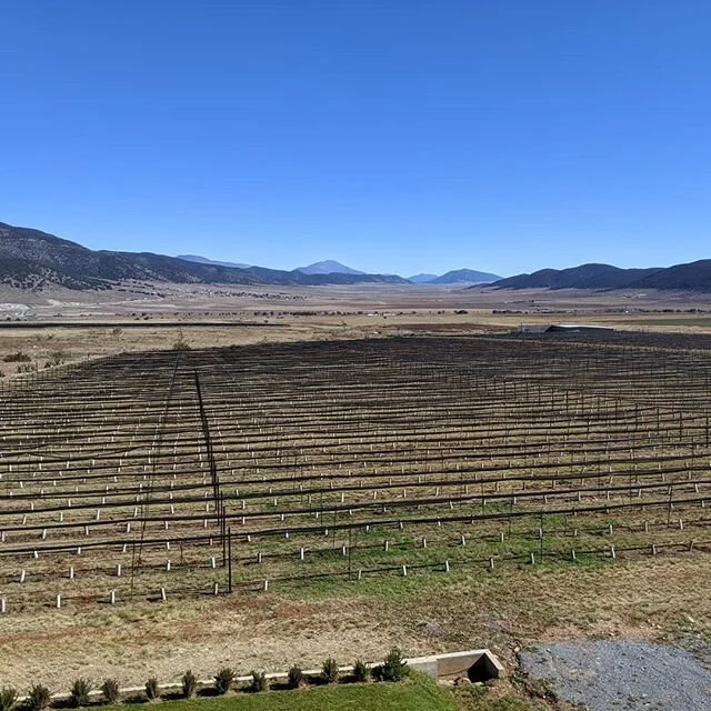 Wide open spaces for some🍷 - - - by ILM
🌎
🧳
🚙
🥾
#travel #traveler #mexico🇲🇽 #earthporn #daily #globe #travelawesome #awesome #view  #travelphotography #photooftheday #photography #travelgram #instatravel #instadaily #traveling #vacation #visit