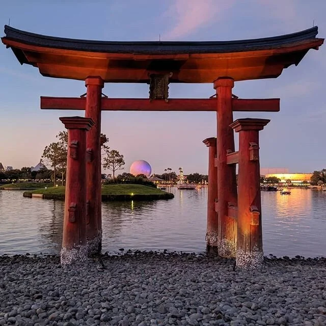 Purple ball of light- - - by ILM
🌎
🧳
🚙
🥾
#travel #traveler #travelthroughtheworld #earthporn #daily #florida #travelawesome #awesome #view  #travelphotography #photooftheday #photography #travelgram #instatravel #instadaily #traveling #vacation #