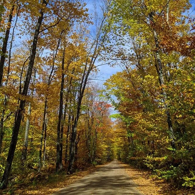 Drive on - - - by AETS
🌎
🧳
🚙
🥾
#travel #traveler #puremichigan #earthporn #daily #globe #travelawesome #awesome #view  #travelphotography #photooftheday #photography #travelgram #instatravel #instadaily #traveling #vacation #visiting #instatravel