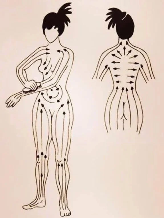 map of direction for dry brushing