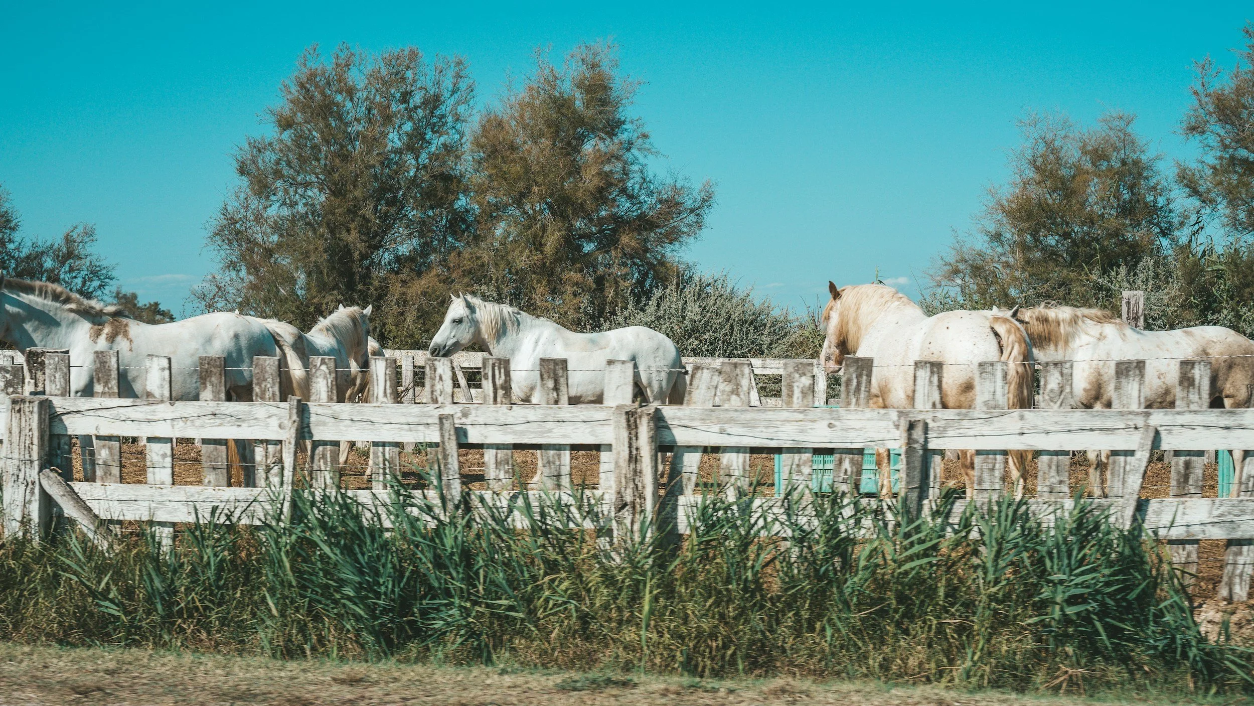 unsplash-image-UXGFSvGc-eA.jpg