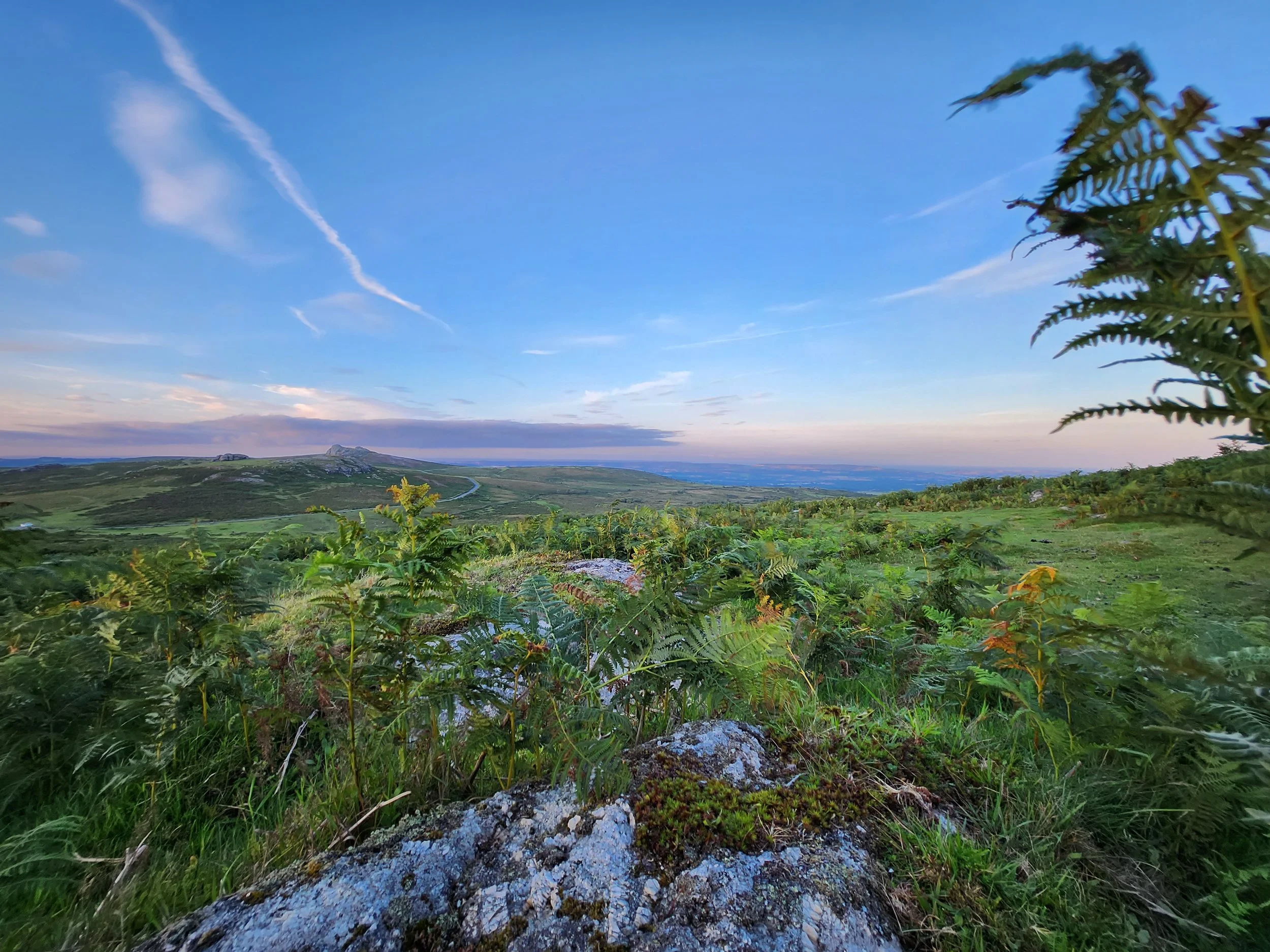 Wild Spaces_Rippon Tor_2.jpg