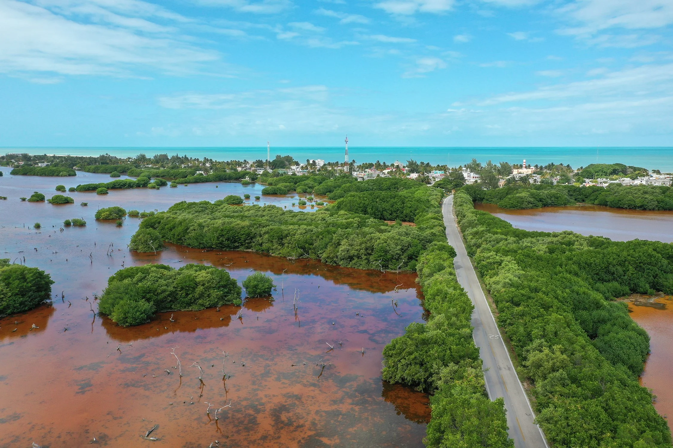 RivieraYucatán-Puerto-Sisal-Entrada-72.jpg