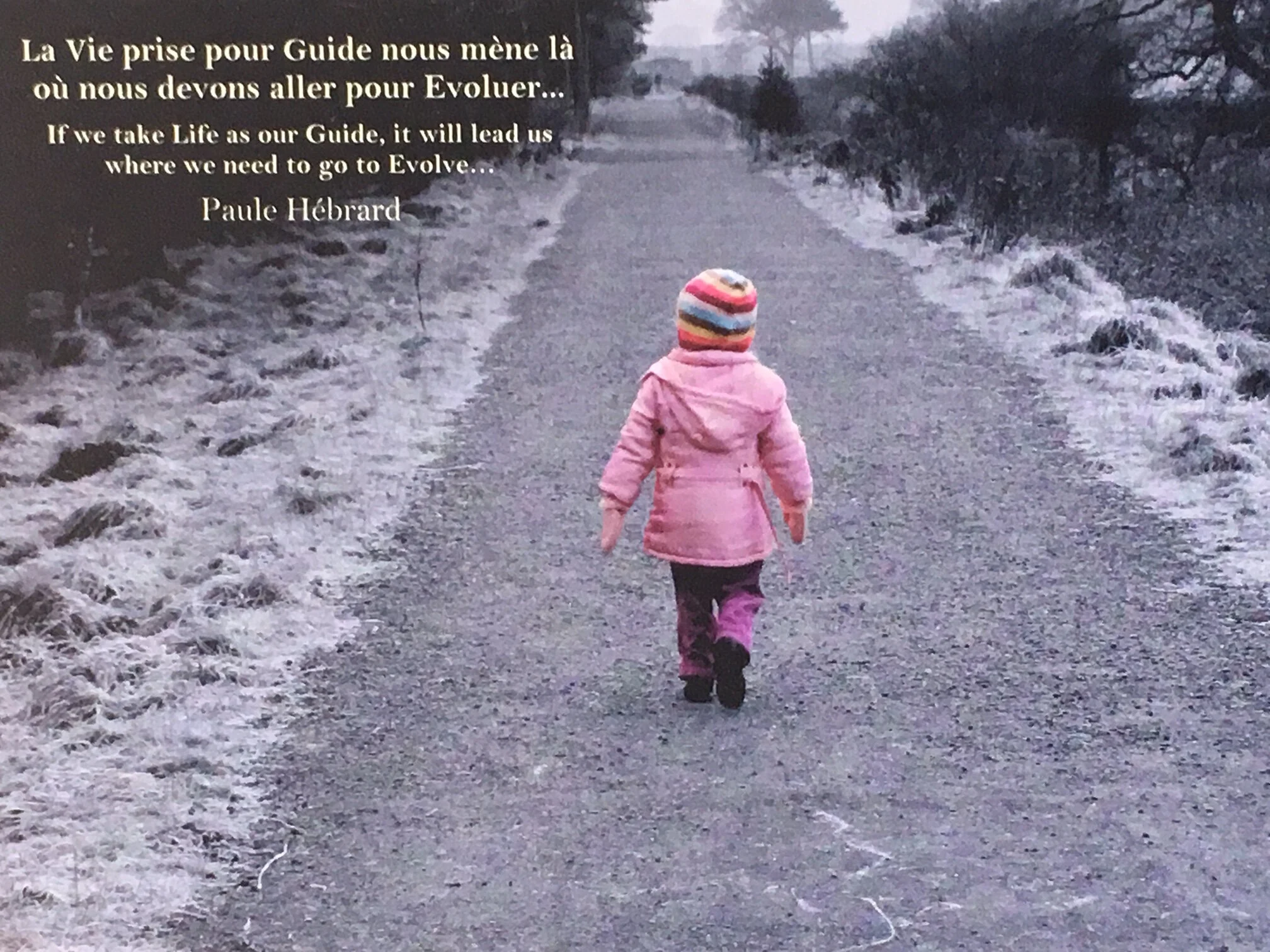 LA VIE PRISE POUR GUIDE...