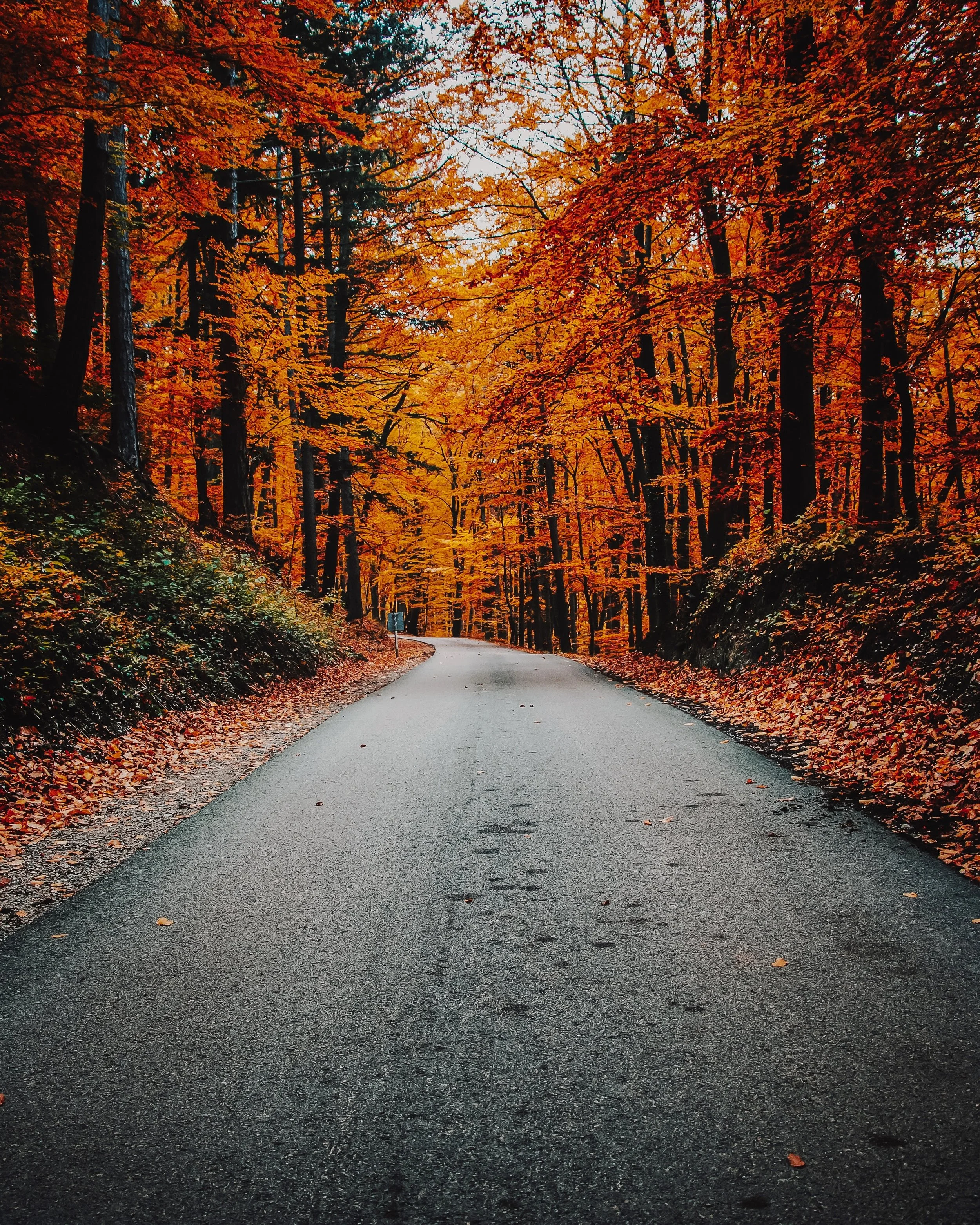benjamin-voros-wITd9_eDTw8-unsplash.jpg