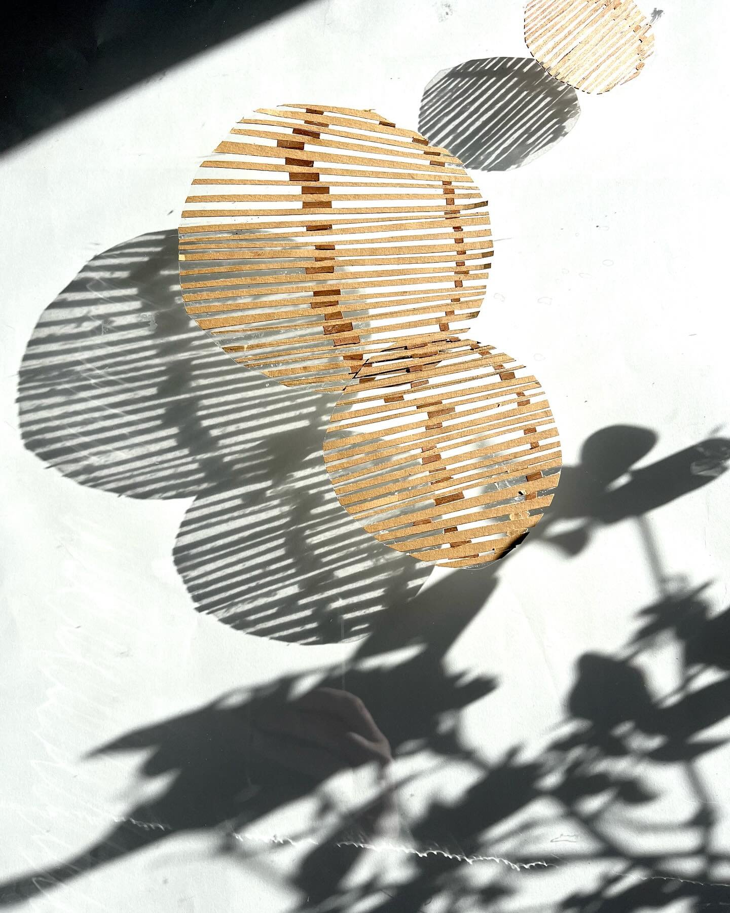 Light &amp; Shadow ☀️🌿

We&rsquo;ve been exploring the interplay of light and shade in urban spaces&mdash;experimenting with shade-making models inspired by the top line view of trees and glass. Watching how shadows shift throughout the day here in 