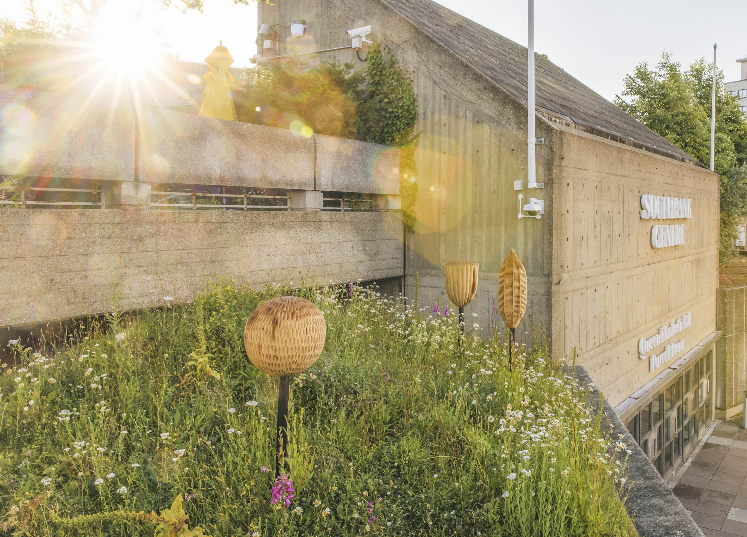 Southbank Centre artwork attracts an audience of bees, birds and butterflies