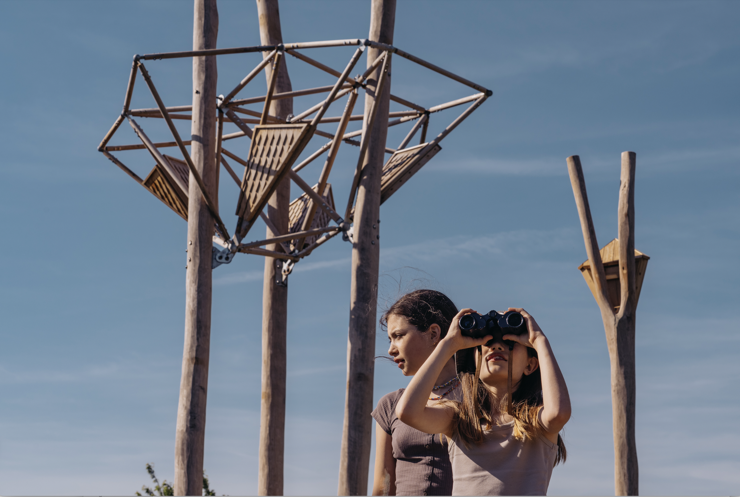 New Public Artwork Creates a Sanctuary for Wildlife and People at Cribbs Causeway