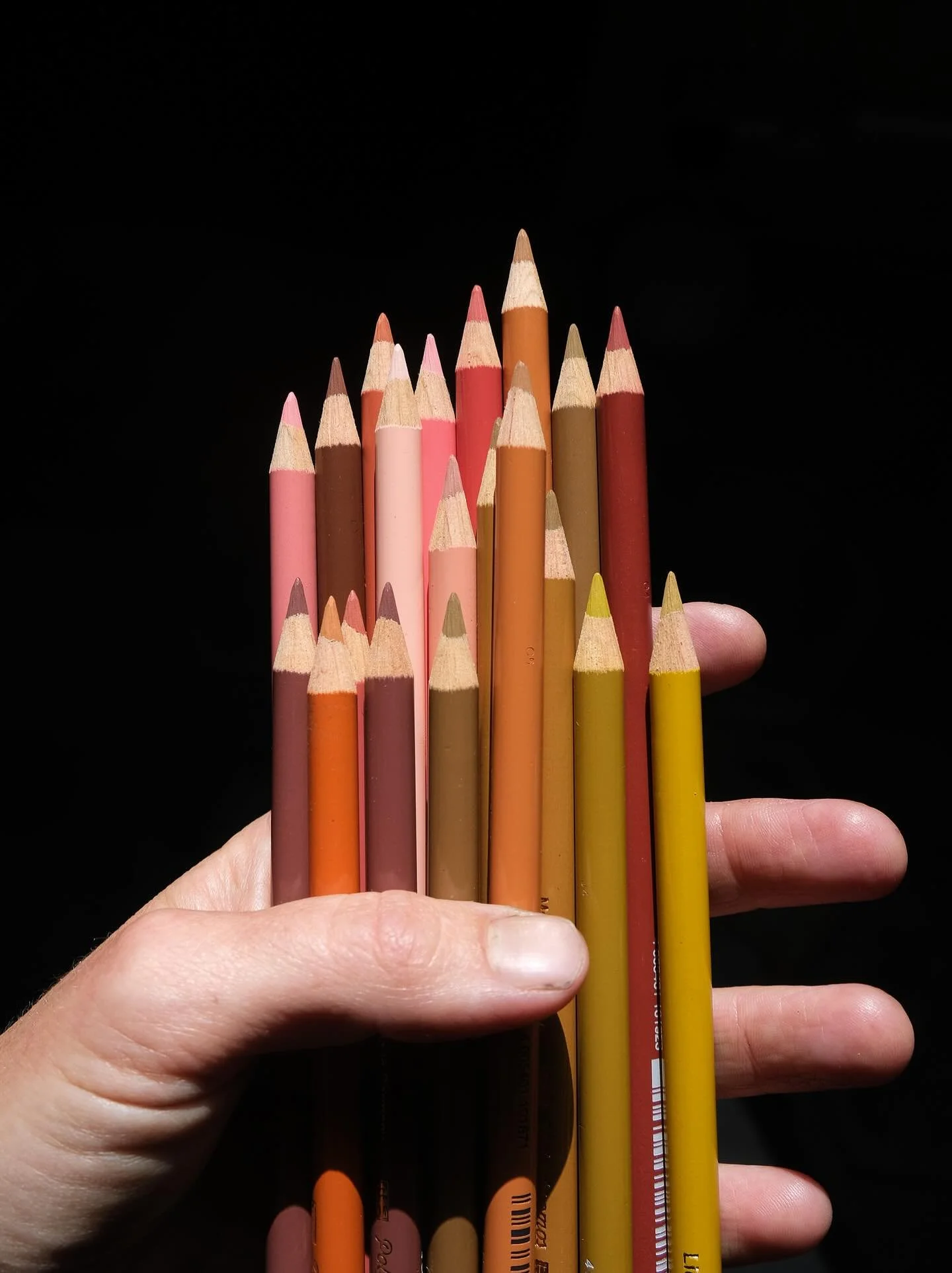 &ldquo;In every piece of land, the soil has a memory&rdquo;

This week, as part of Open Cambridge, we are leading experimental drawing walks exploring the front gardens and streets of Cherry Hinton, where we will discover the area&rsquo;s ecology and