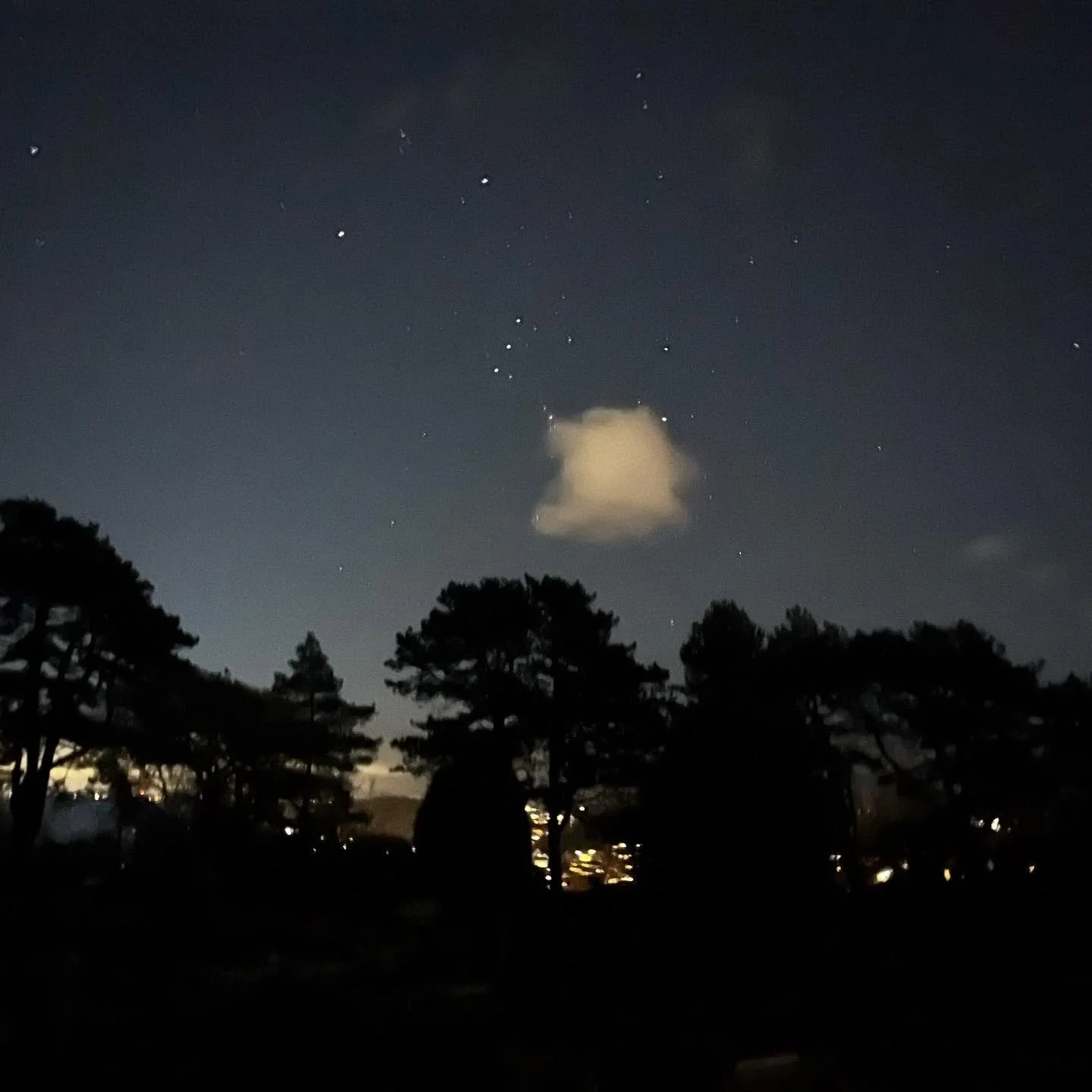 The wet dawn inks are doing their blue dissolve.
On their blotter of fog the trees 
Seem a botanical drawing &mdash;
Memories growing, ring on ring,
A series of weddings.

from Winter Trees, Sylvia Plath.