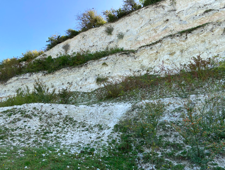 Screenshot 2026-01-13 at 10.35.42.png