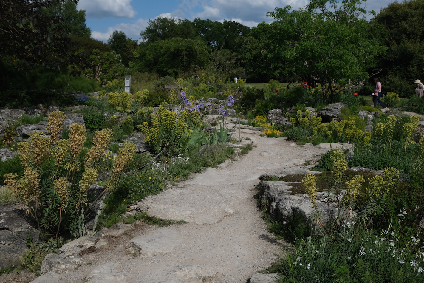 botanical gardens 2.png