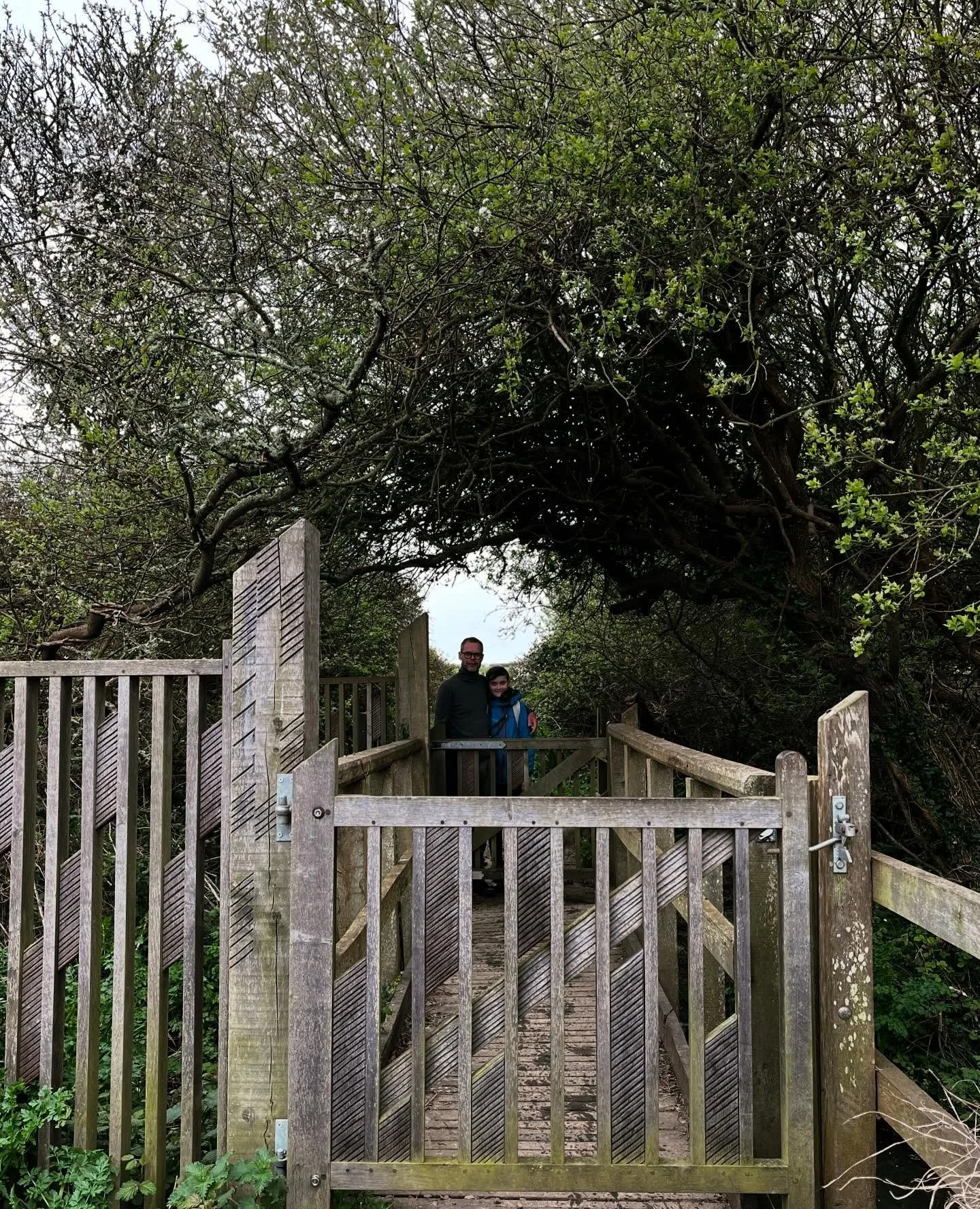 Fleet Rushes 

Lovely to see the oak gates and screens we made for the boundary of Fleet and Chickerell on the South West Coastal Path weathering down to silvery grey. It was also exciting to see the sheen of patina from many hands opening the gates 