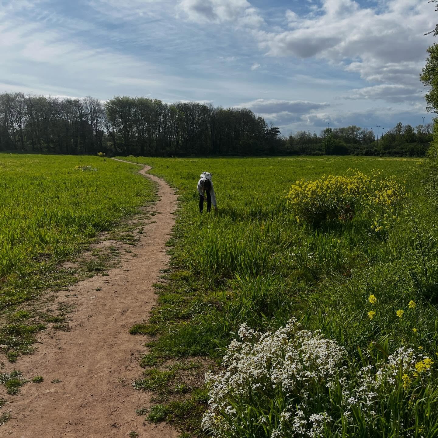 A very beautiful mini bunch of wildflowers foraged in a field behind Gordano services on the M5 motorway. 

This girl is always tuned in and she found such a huge variety in half an hour! 

These flowers made us happy on a long journey home.