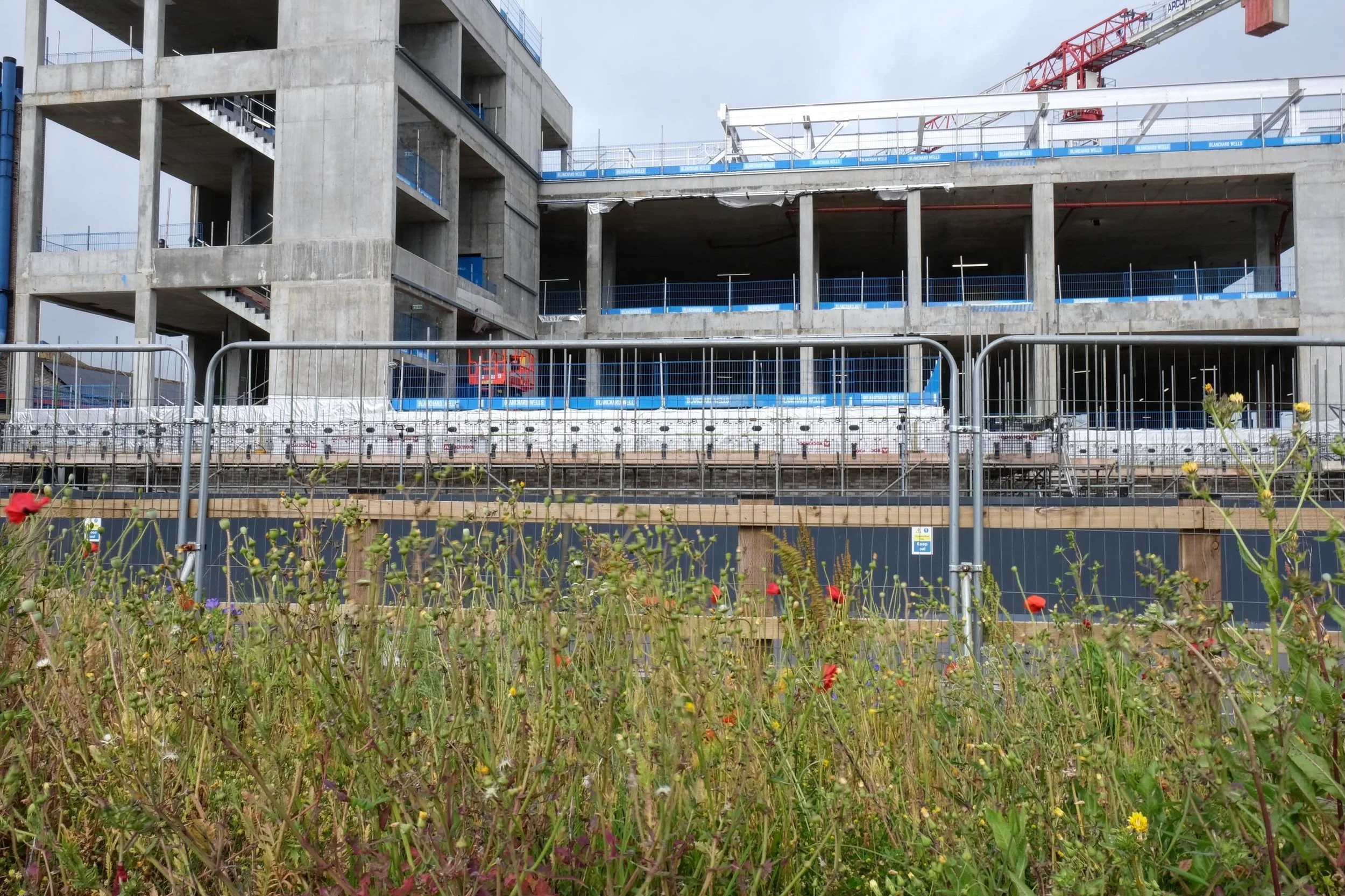 A wonderful visit to the new Emergency Department at Dorset County Hospital last week.

With views over Maiden Castle and wildflowers all around the new site, we&rsquo;re very inspired by the potential of these spaces. We&rsquo;ll be working with sta
