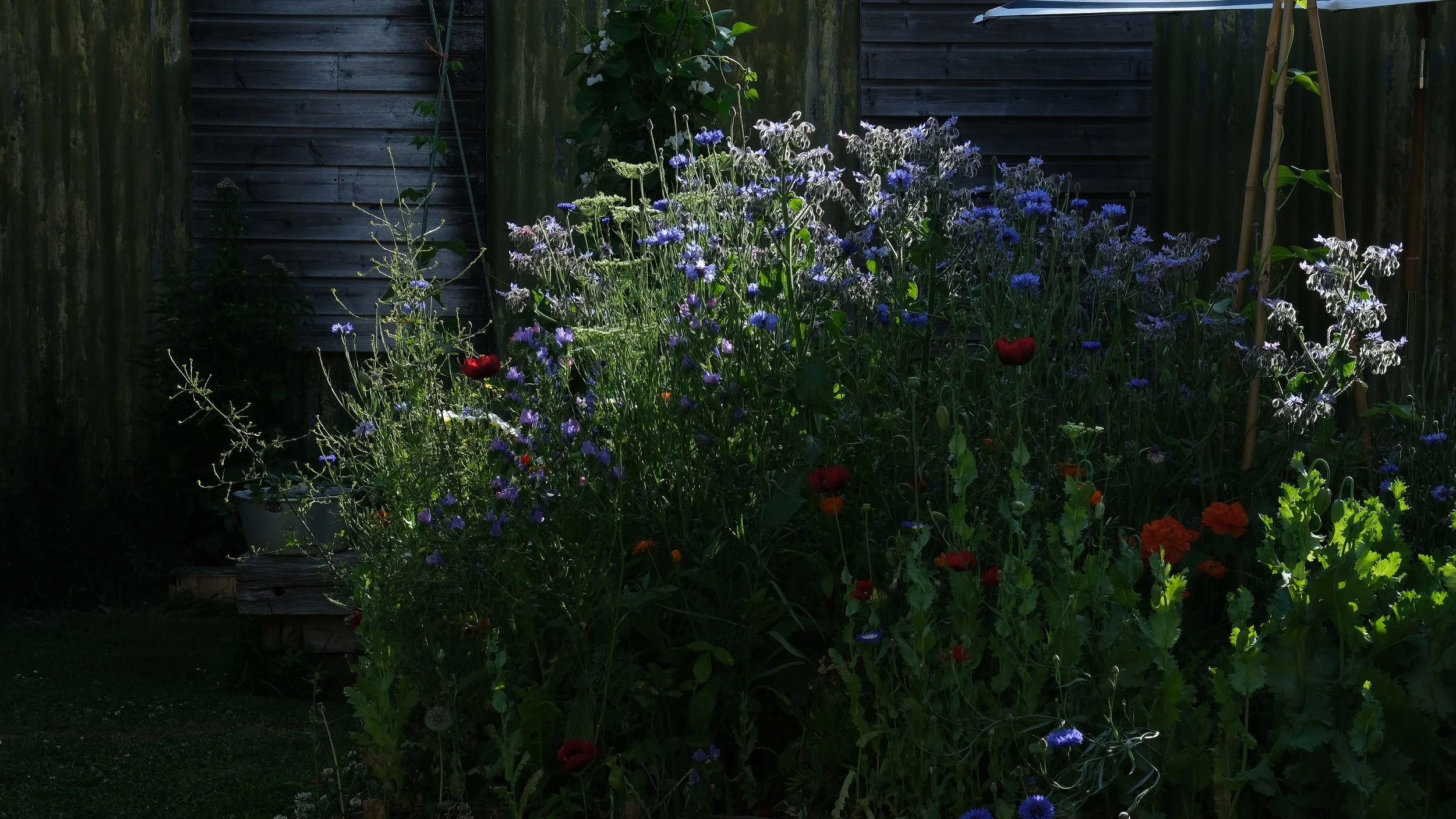 DSCF6012.png