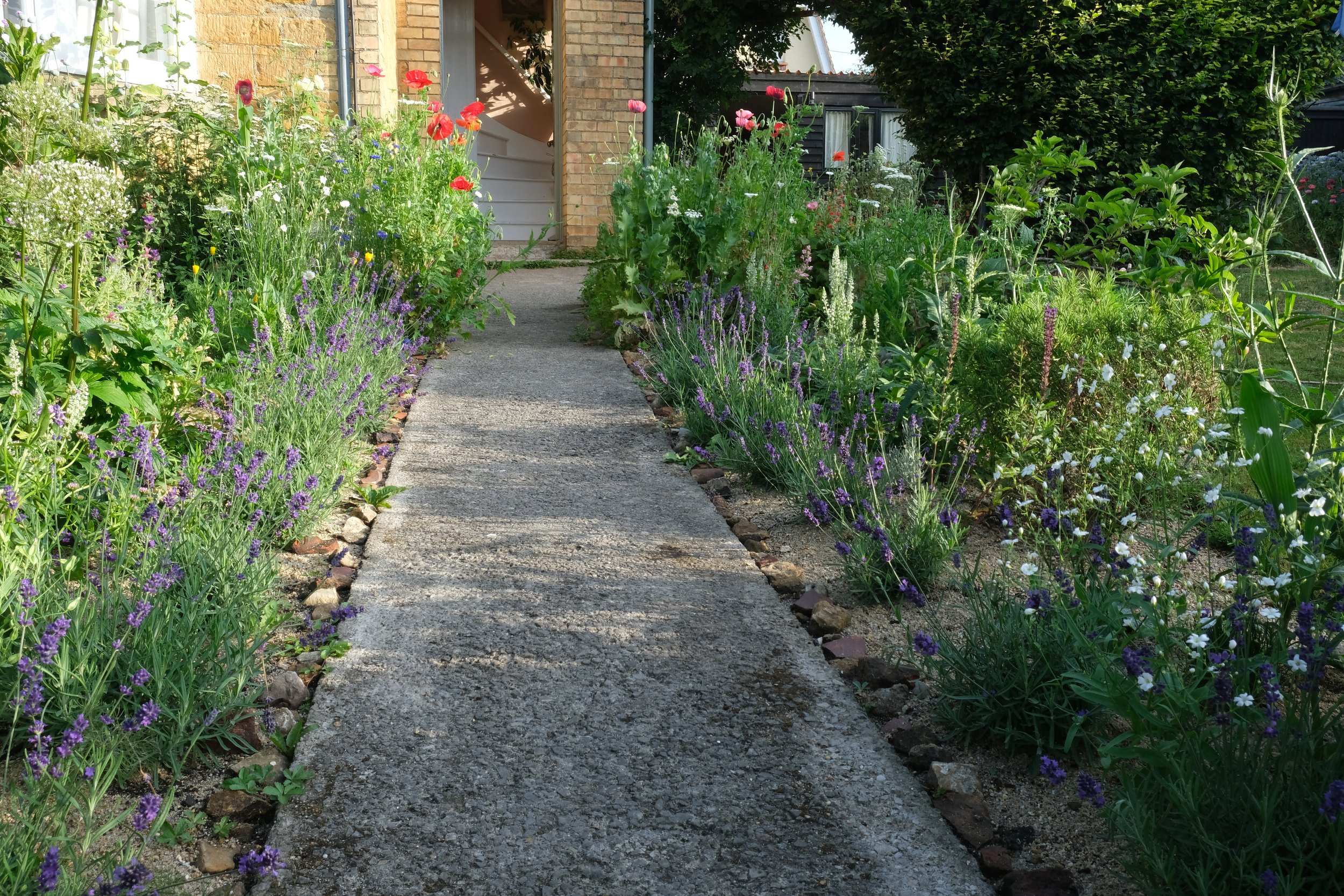 DSCF6061.JPG