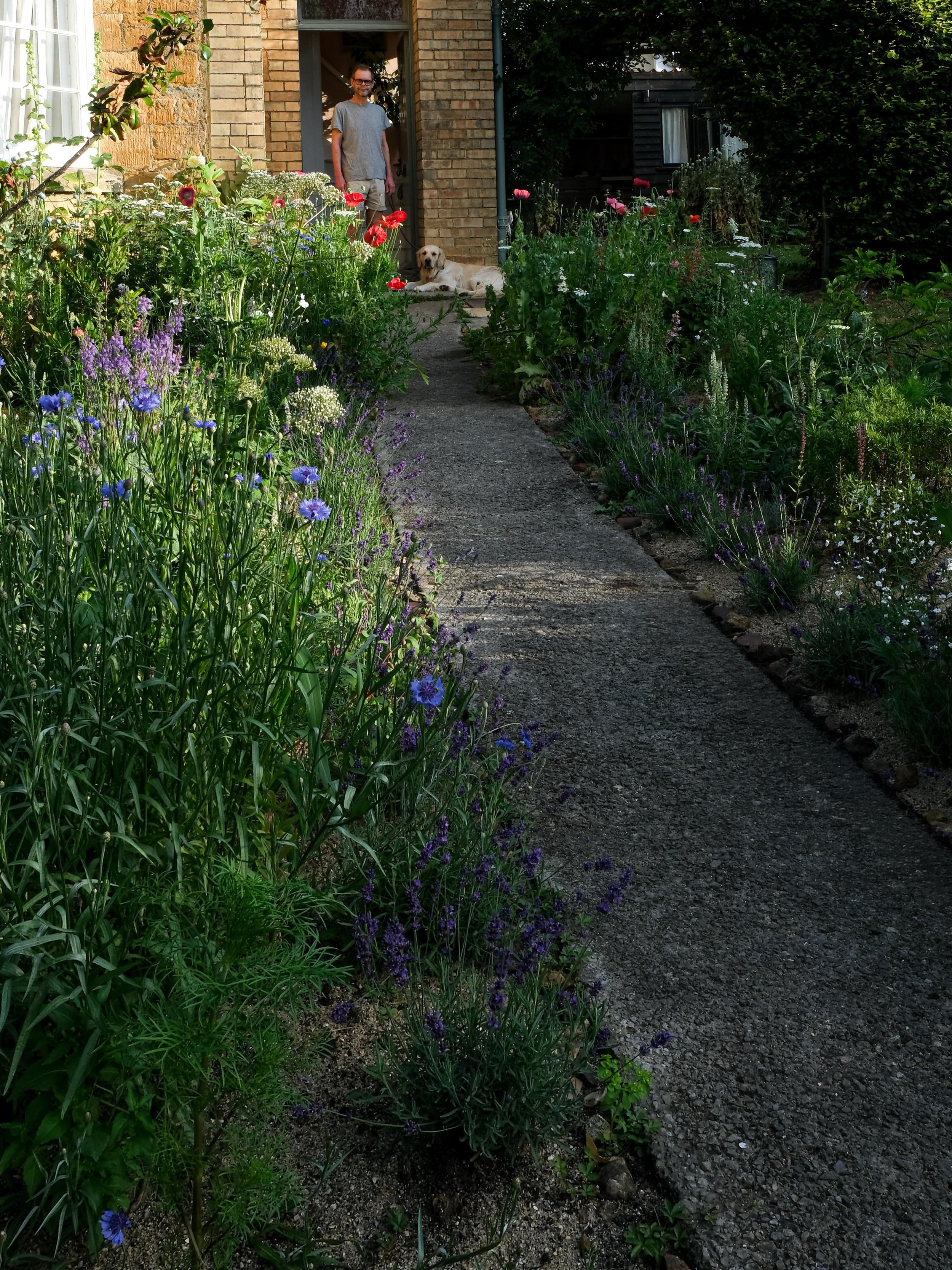 A Year of Garden Experiments 

Sand and wildflowers gardening, poppy petal emulsion and Nigel Dunnett.

Read more about making our home garden in Dorset and how it is inspiring our work over on our new blog post. 

It&rsquo;s lovely to feel some gent