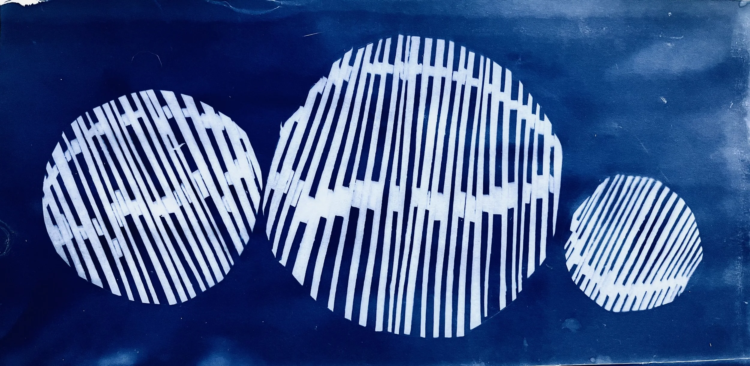 cyanotype print cells.JPG
