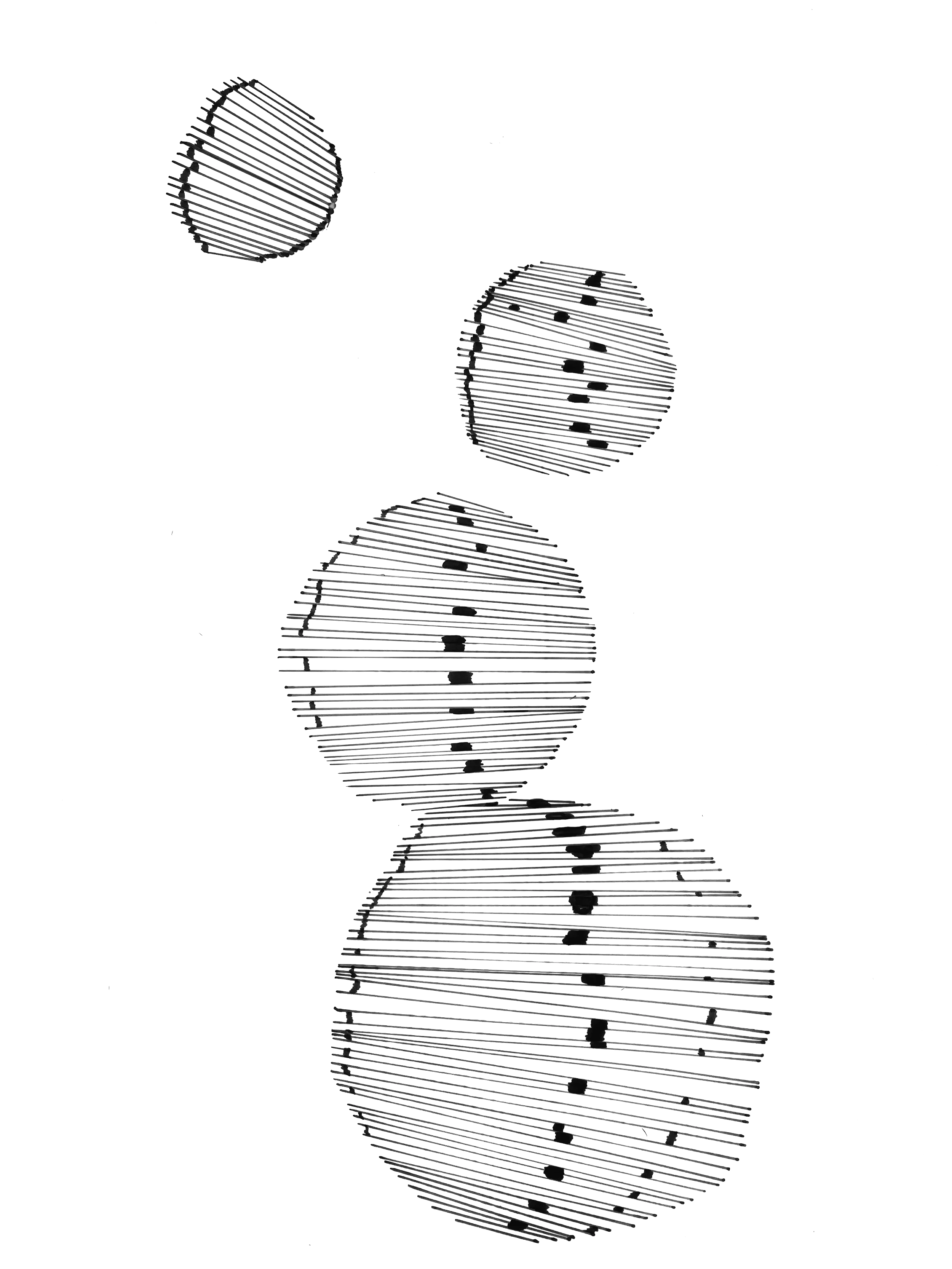 IMG_9866.png