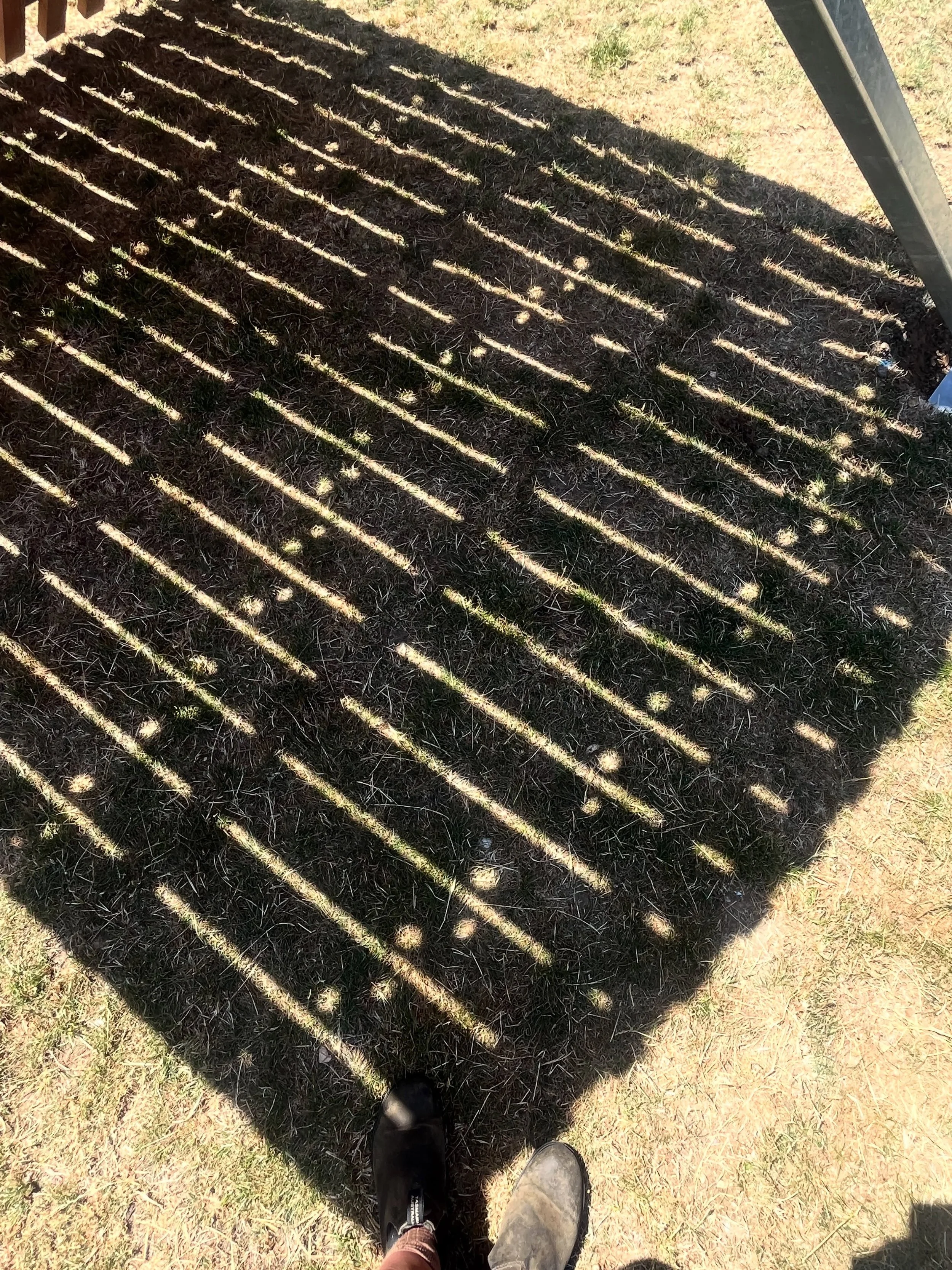 Some shadows from Cellular Shade at Fleming park in Eastleigh. 

You can read about making this work over on our blog 🌞 🌞 🌞