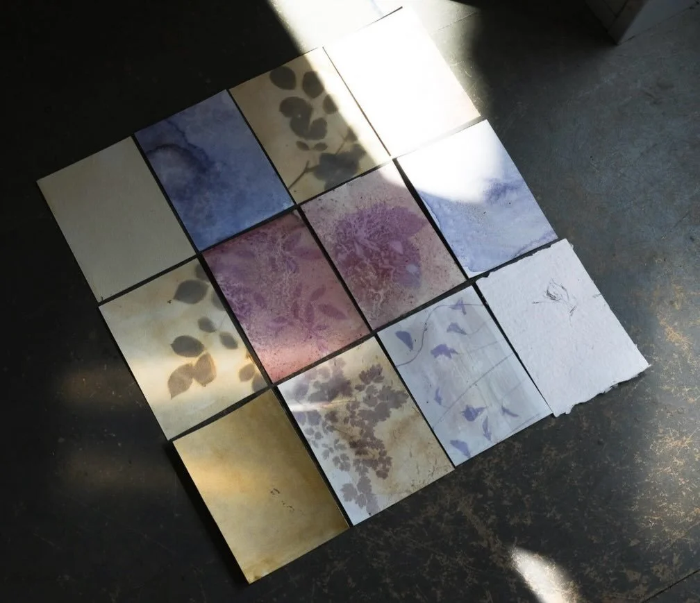 Light and shadow 
created with the sun 
colour from plants
leaving their mark as a patchwork 

colours are: buddleia, cornflower, corn poppy, blackberry, elderberry, cosmos. 

Work in development for @artsinhospital 🌱