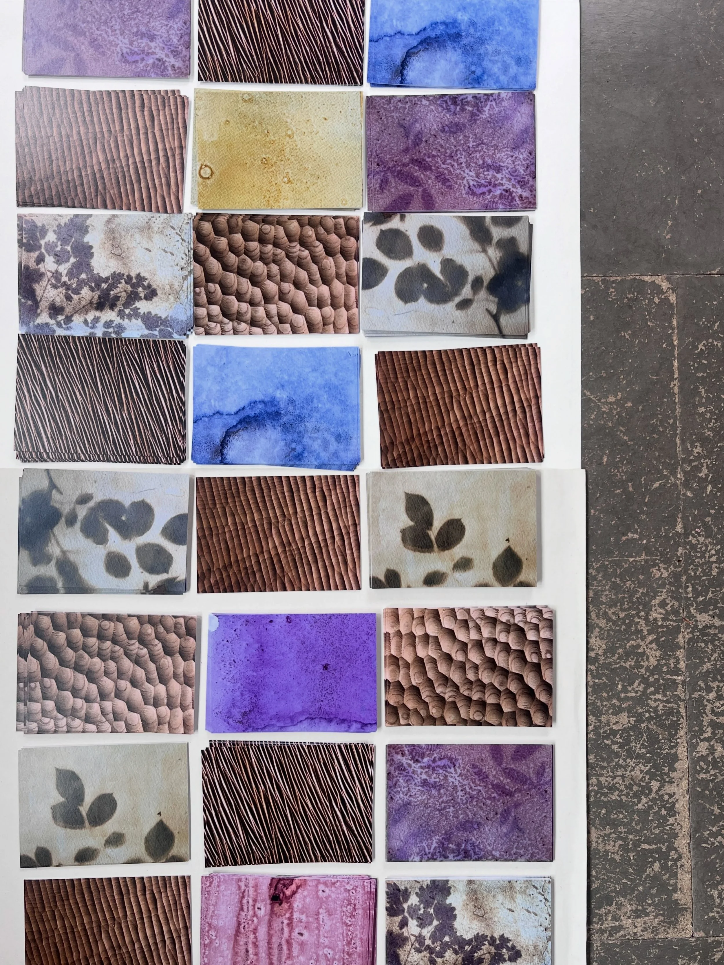 Winter Garden at Dorset County Hospital
A place to pause, breathe and reconnect with nature. 

As part of our engagement at the hospital we made postcards for staff inviting responses on the plant emulsions and textures we have been making and asked 