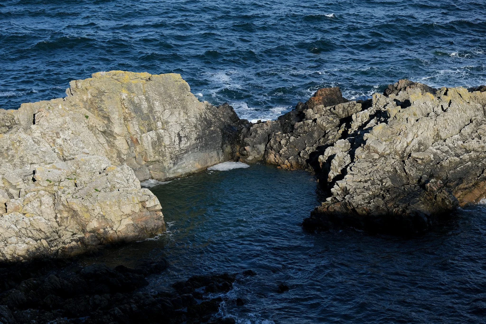 DSCF6639-2.jpg