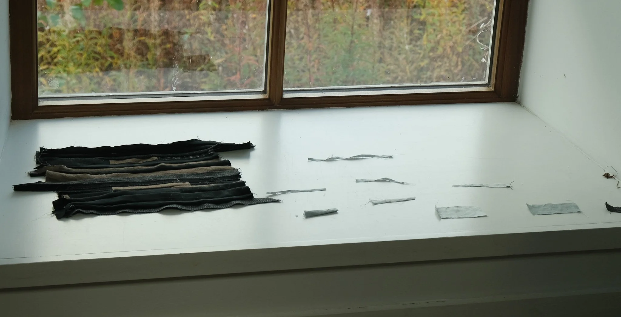 DSCF6783-2.jpg