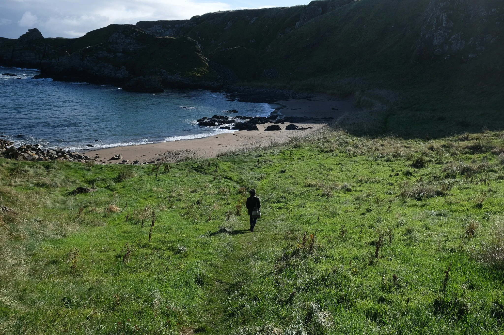 DSCF6632-2.jpg
