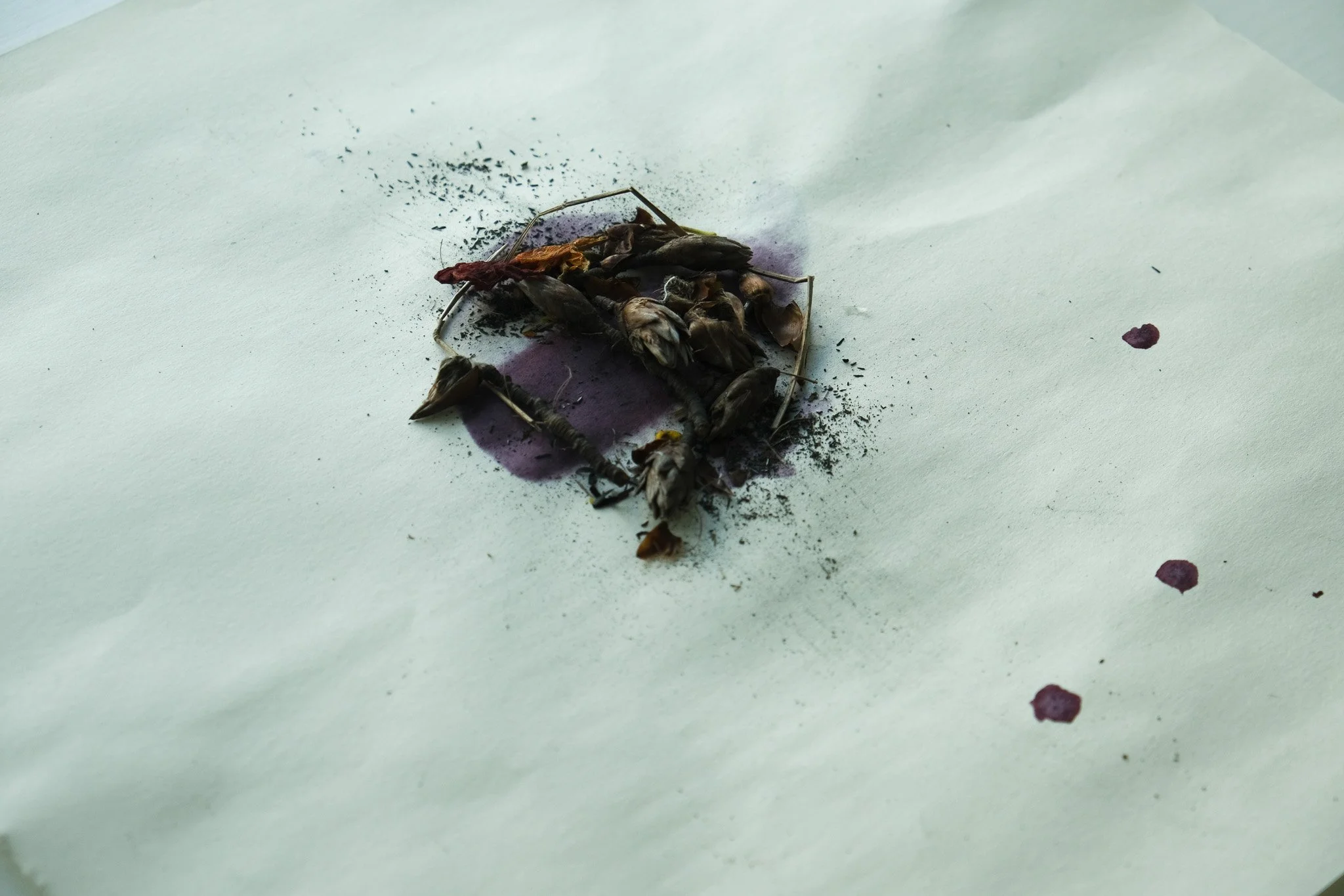 DSCF6801-2.jpg